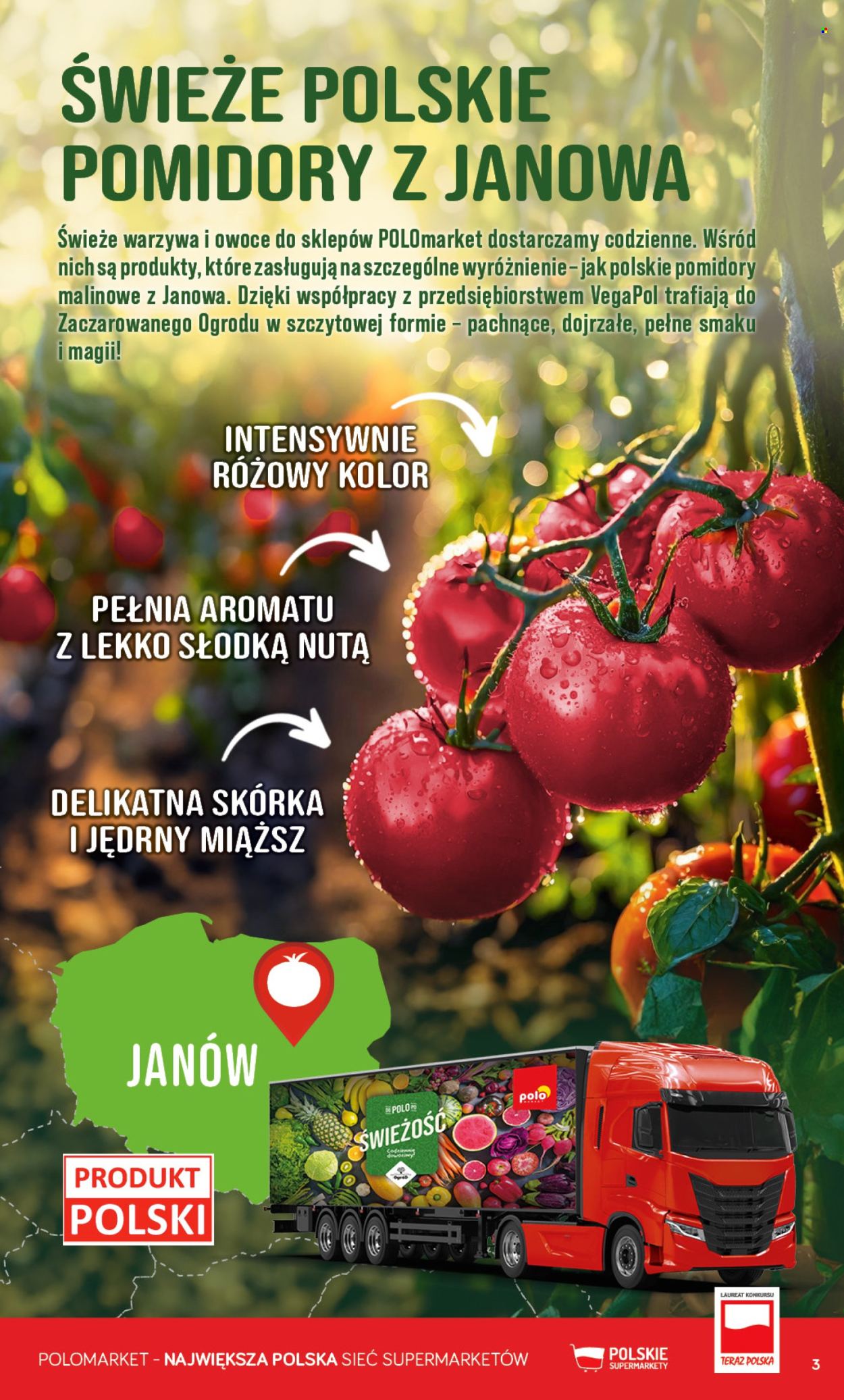 Gazetka Polomarket - 25.06.2025 - 1.07.2025. Strona 3