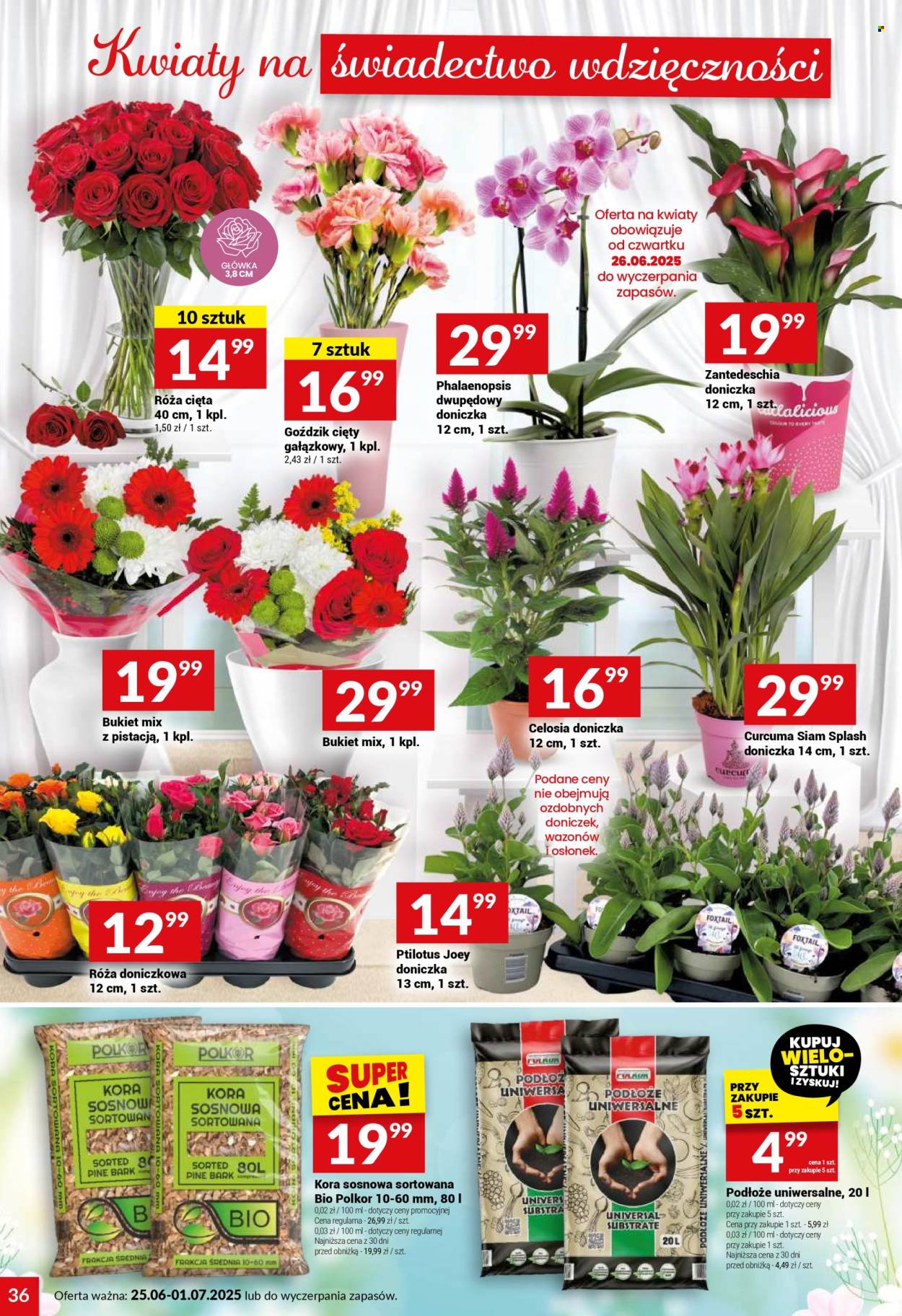 Gazetka Twój Market - 25.06.2025 - 1.07.2025. Strona 36