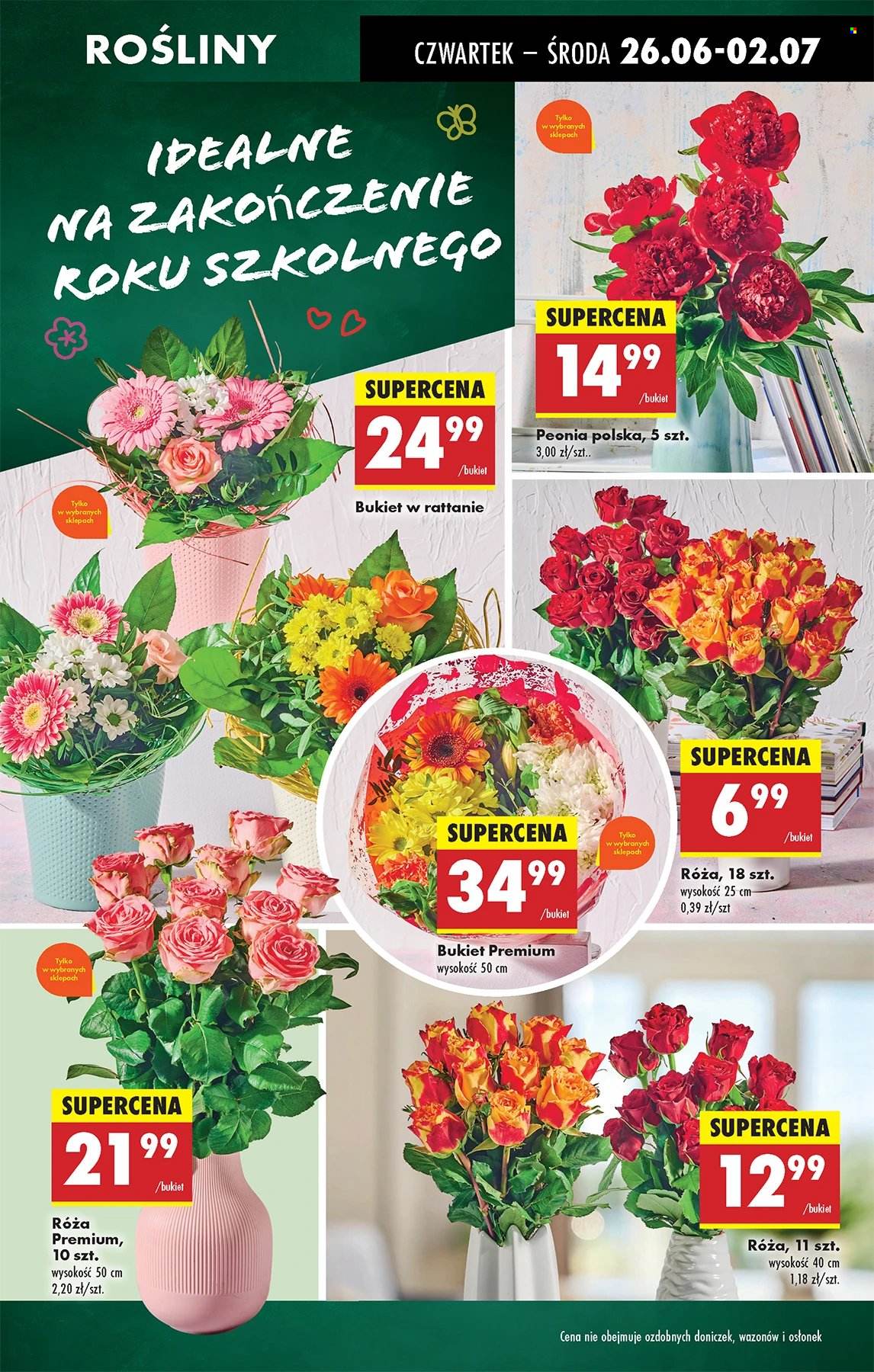Gazetka Biedronka - 26.06.2025 - 2.07.2025. Strona 17