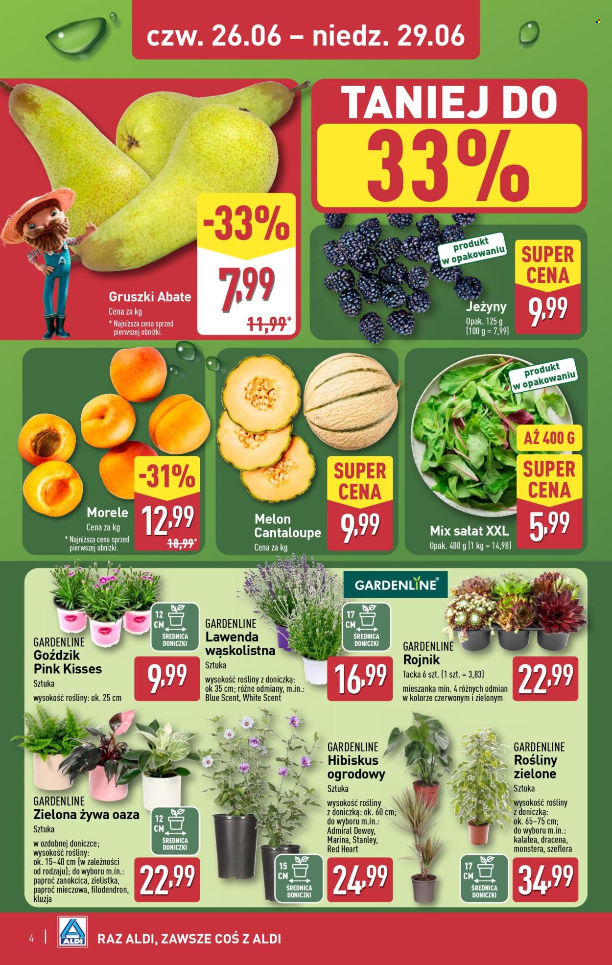 Gazetka ALDI - 26.06.2025 - 29.06.2025. Strona 4