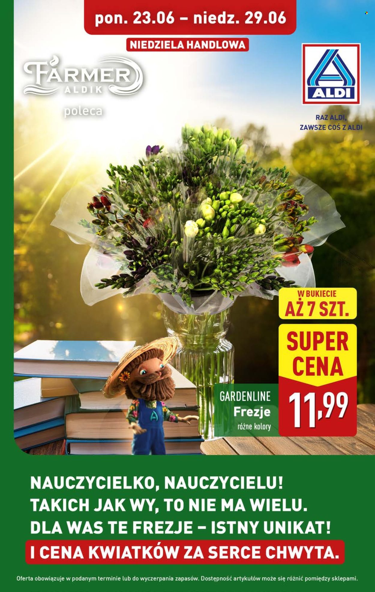 Gazetka ALDI - 26.06.2025 - 29.06.2025. Strona 14