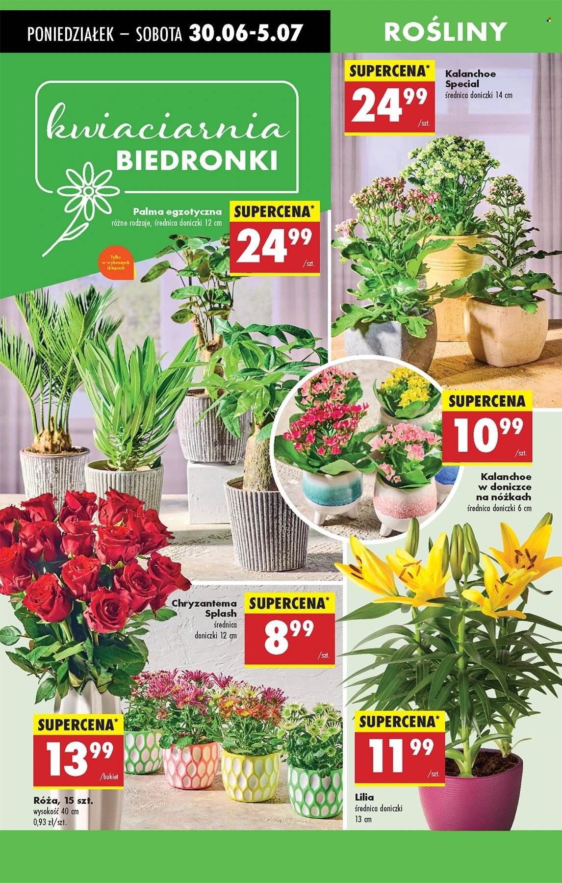 Gazetka Biedronka - 30.06.2025 - 5.07.2025. Strona 74