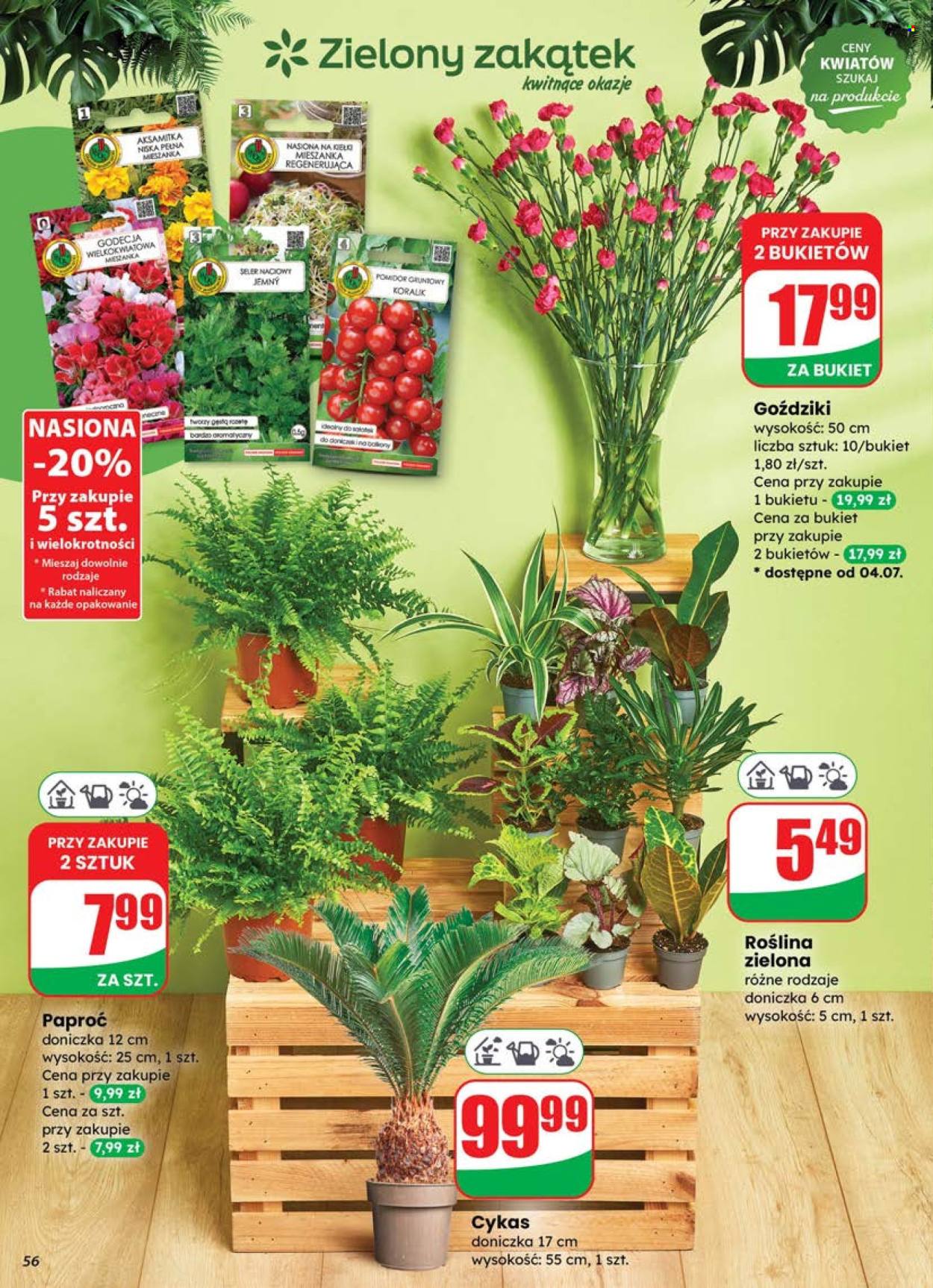 Gazetka Dino - 2.07.2025 - 8.07.2025. Strona 56