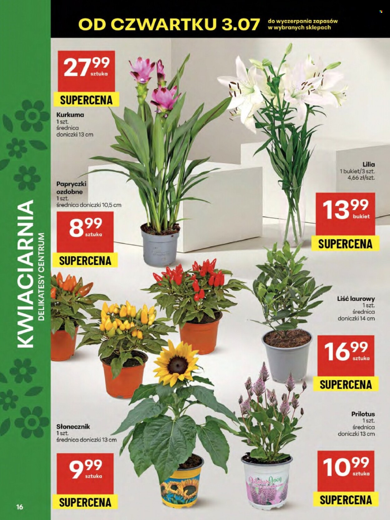 Gazetka Delikatesy Centrum - 3.07.2025 - 9.07.2025. Strona 16