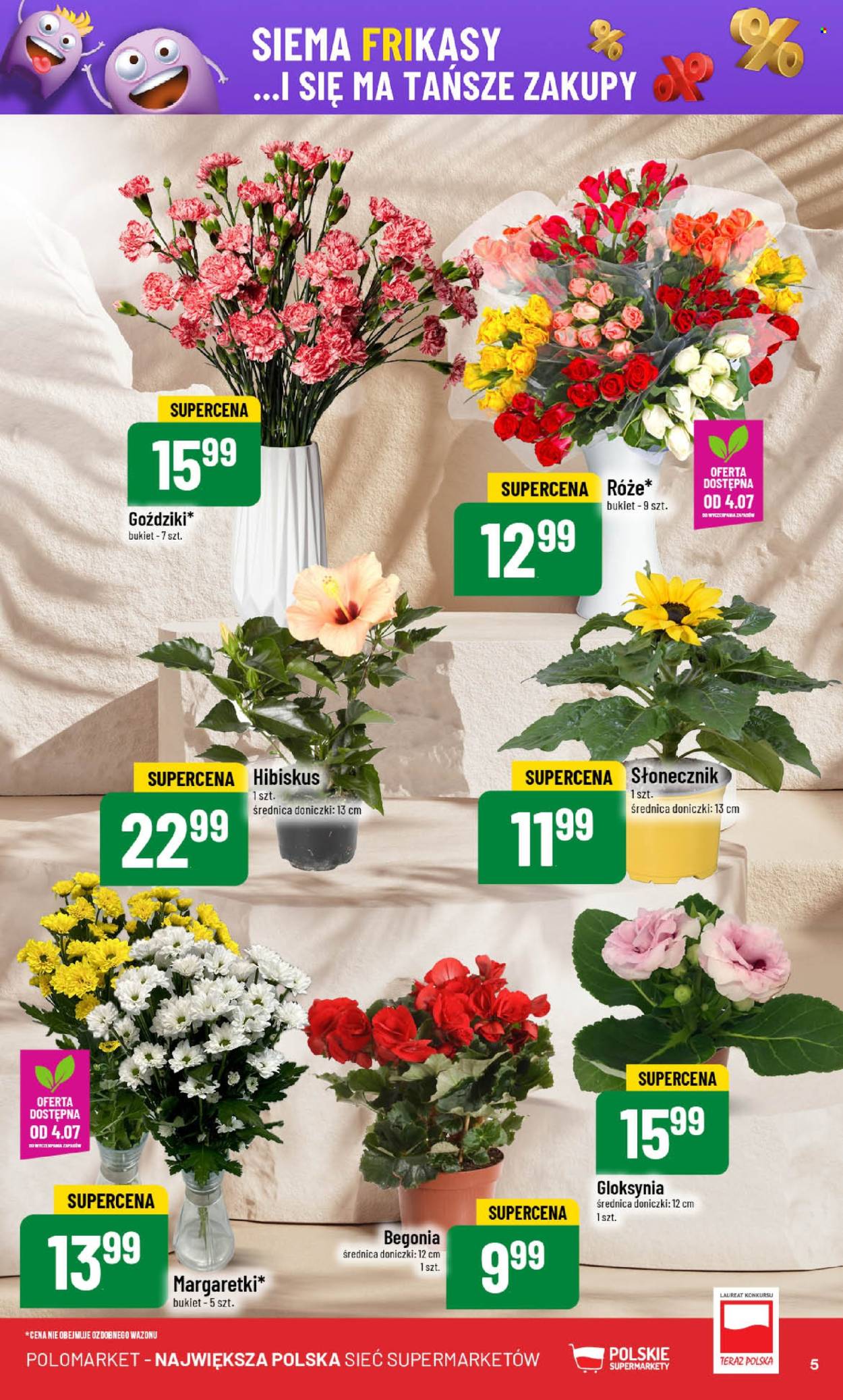 Gazetka Polomarket - 2.07.2025 - 8.07.2025. Strona 5
