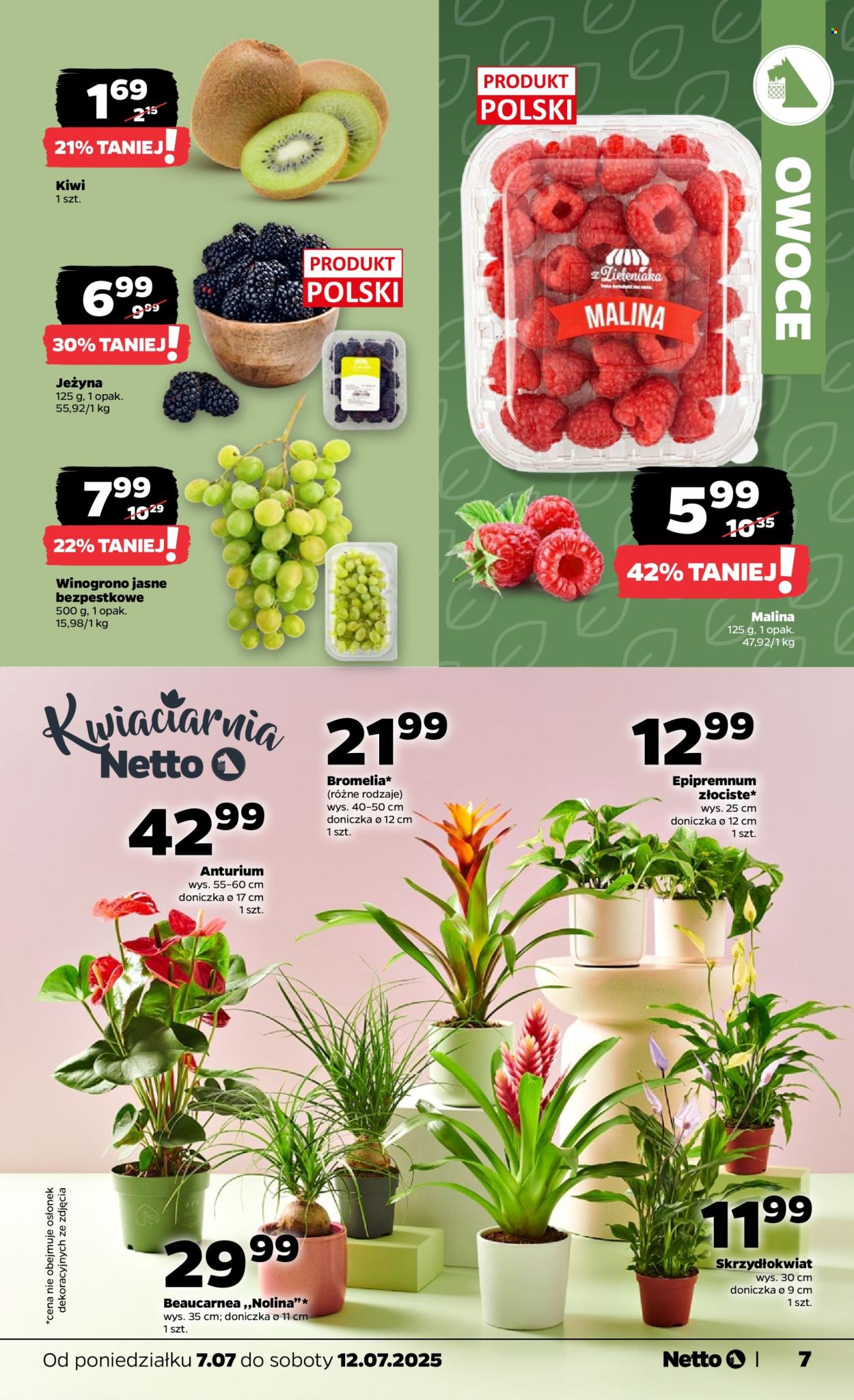 Gazetka Netto - 7.07.2025 - 12.07.2025. Strona 7