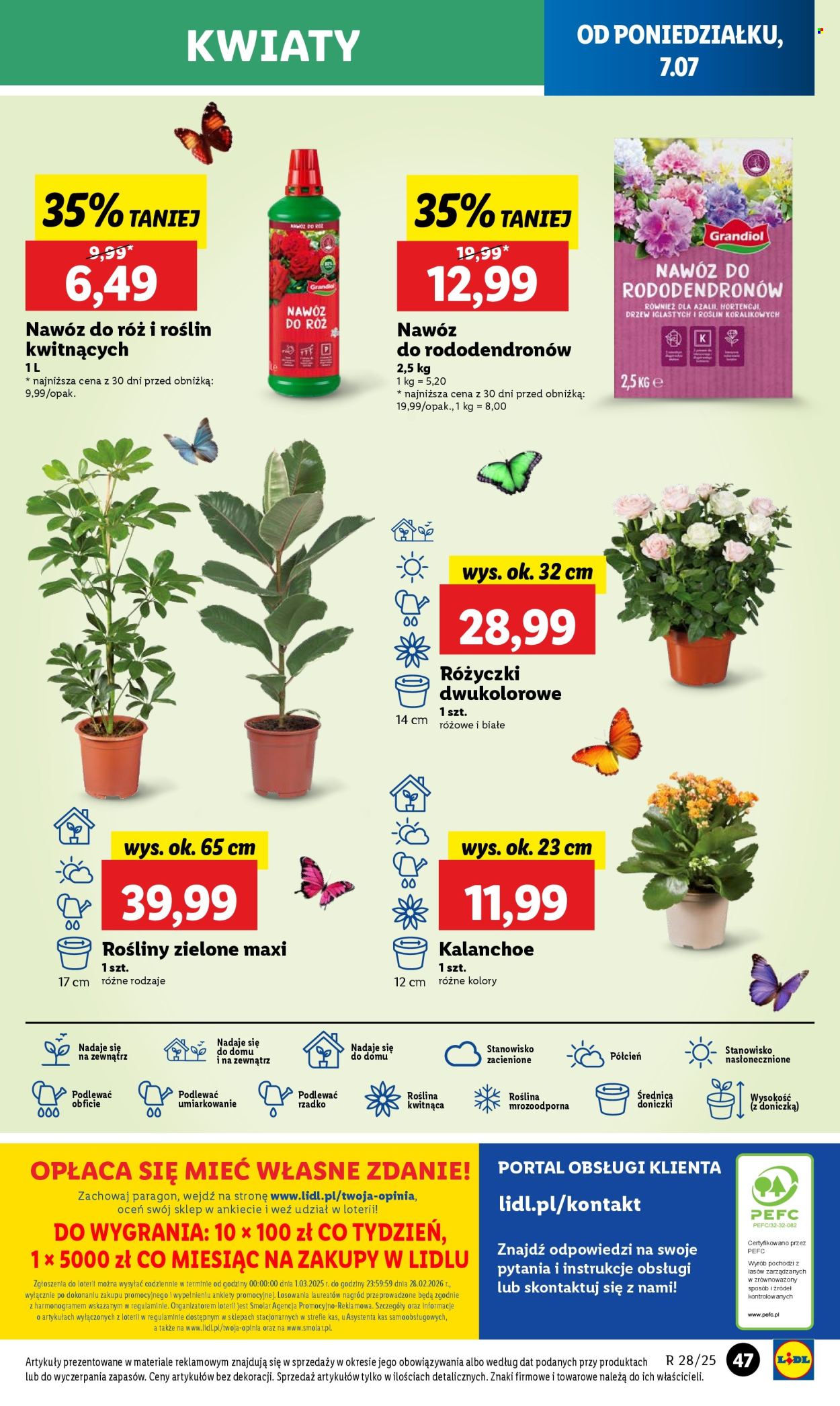 Gazetka Lidl - 7.07.2025 - 9.07.2025. Strona 55