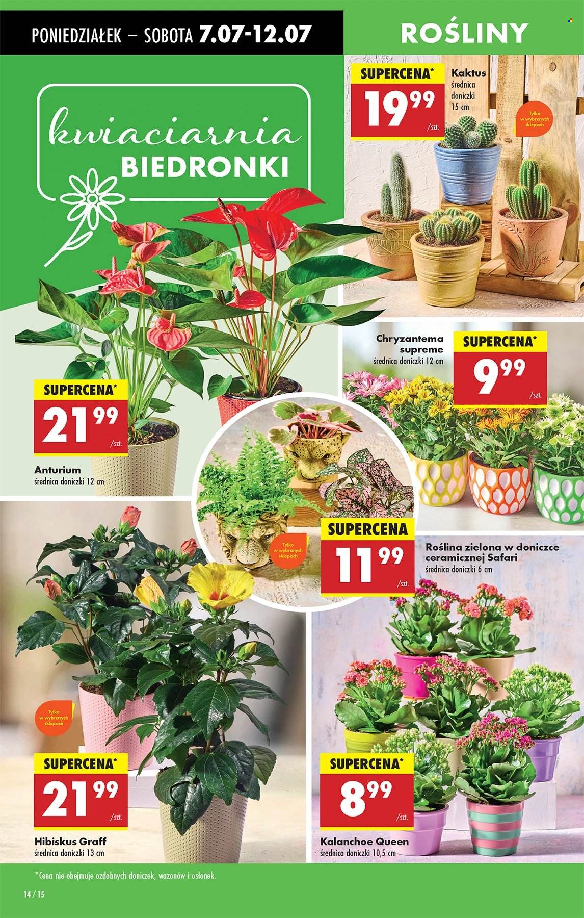 Gazetka Biedronka - 7.07.2025 - 12.07.2025. Strona 14