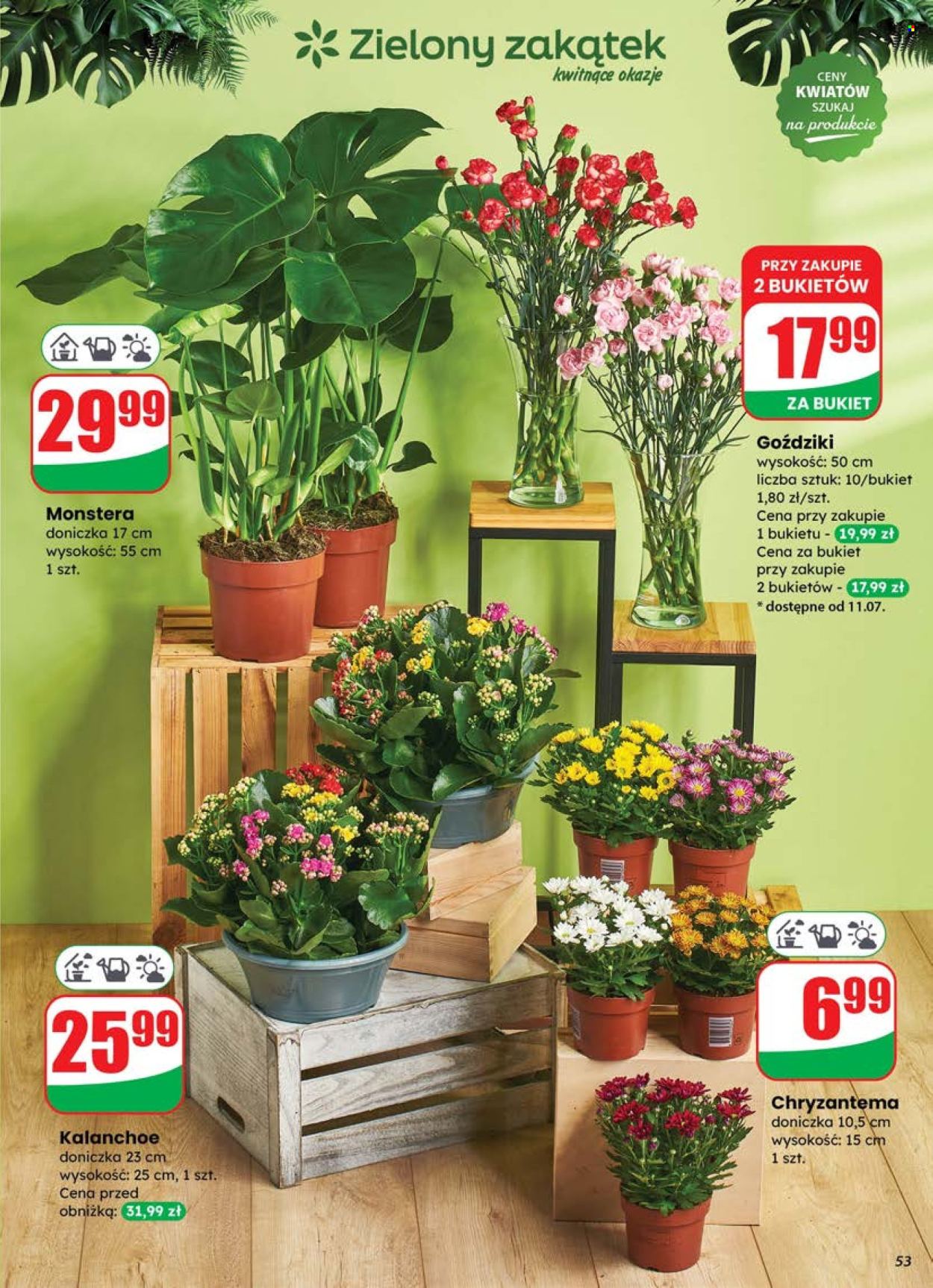 Gazetka Dino - 9.07.2025 - 15.07.2025. Strona 53
