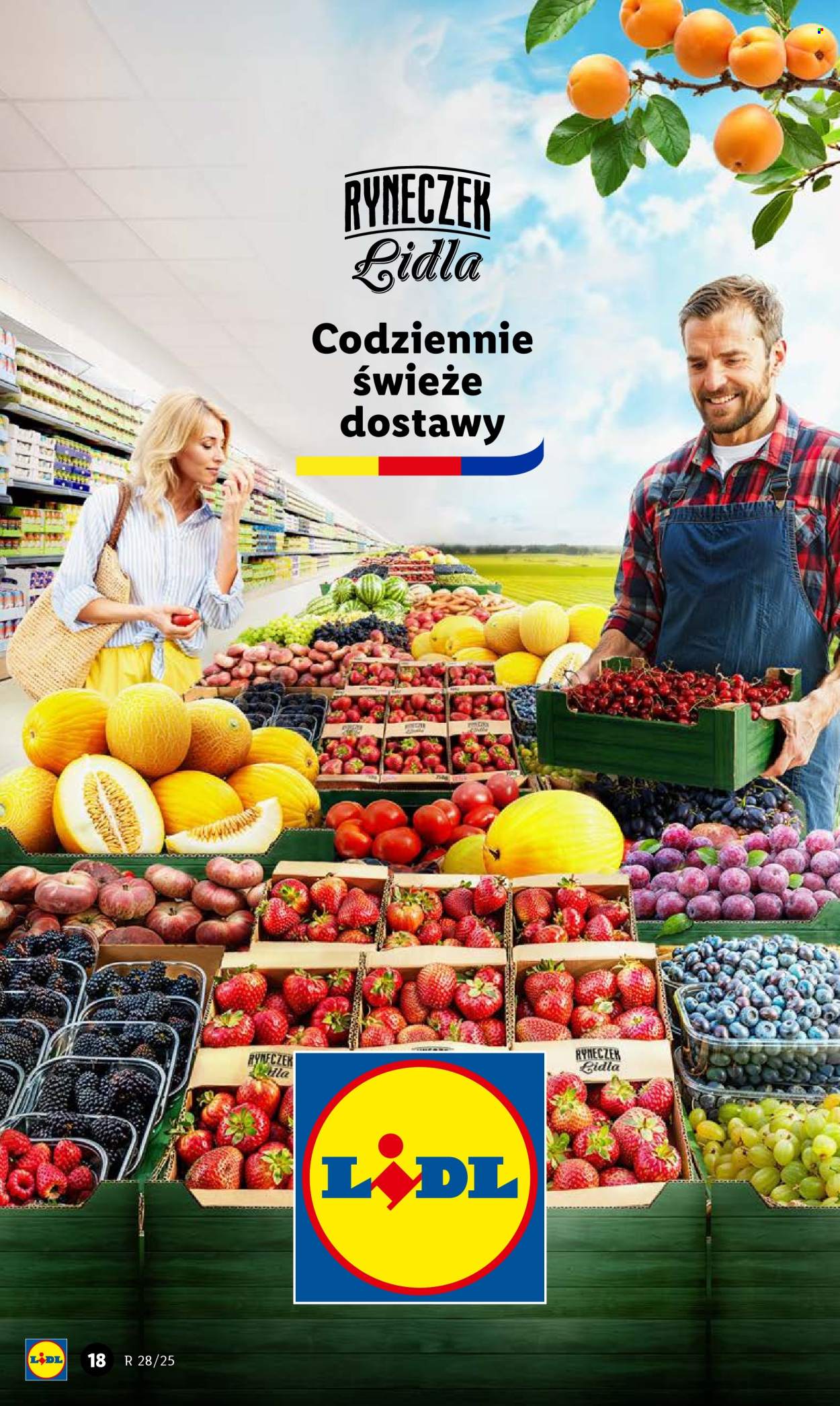 Gazetka Lidl - 10.07.2025 - 12.07.2025. Strona 22