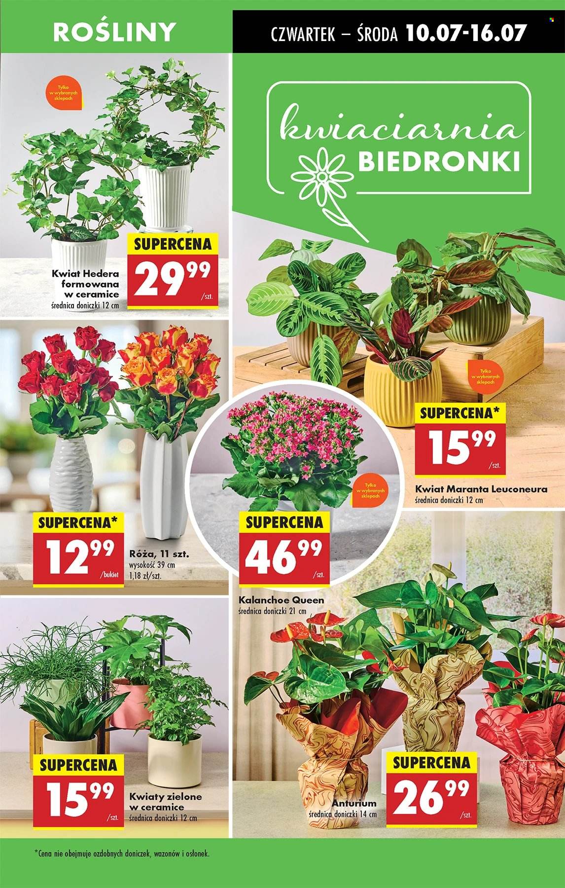 Gazetka Biedronka - 10.07.2025 - 16.07.2025. Strona 17