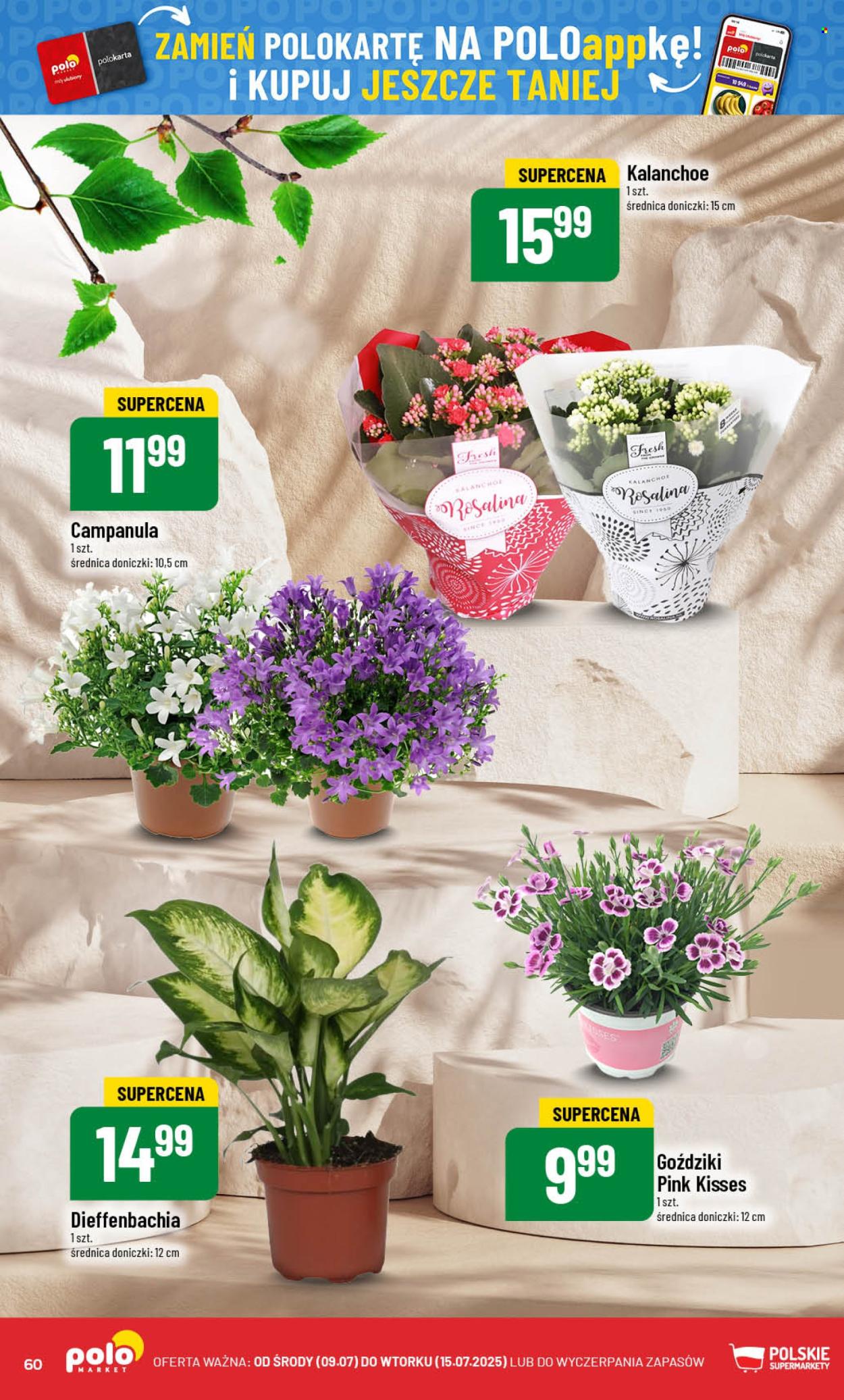 Gazetka Polomarket - 9.07.2025 - 15.07.2025. Strona 60