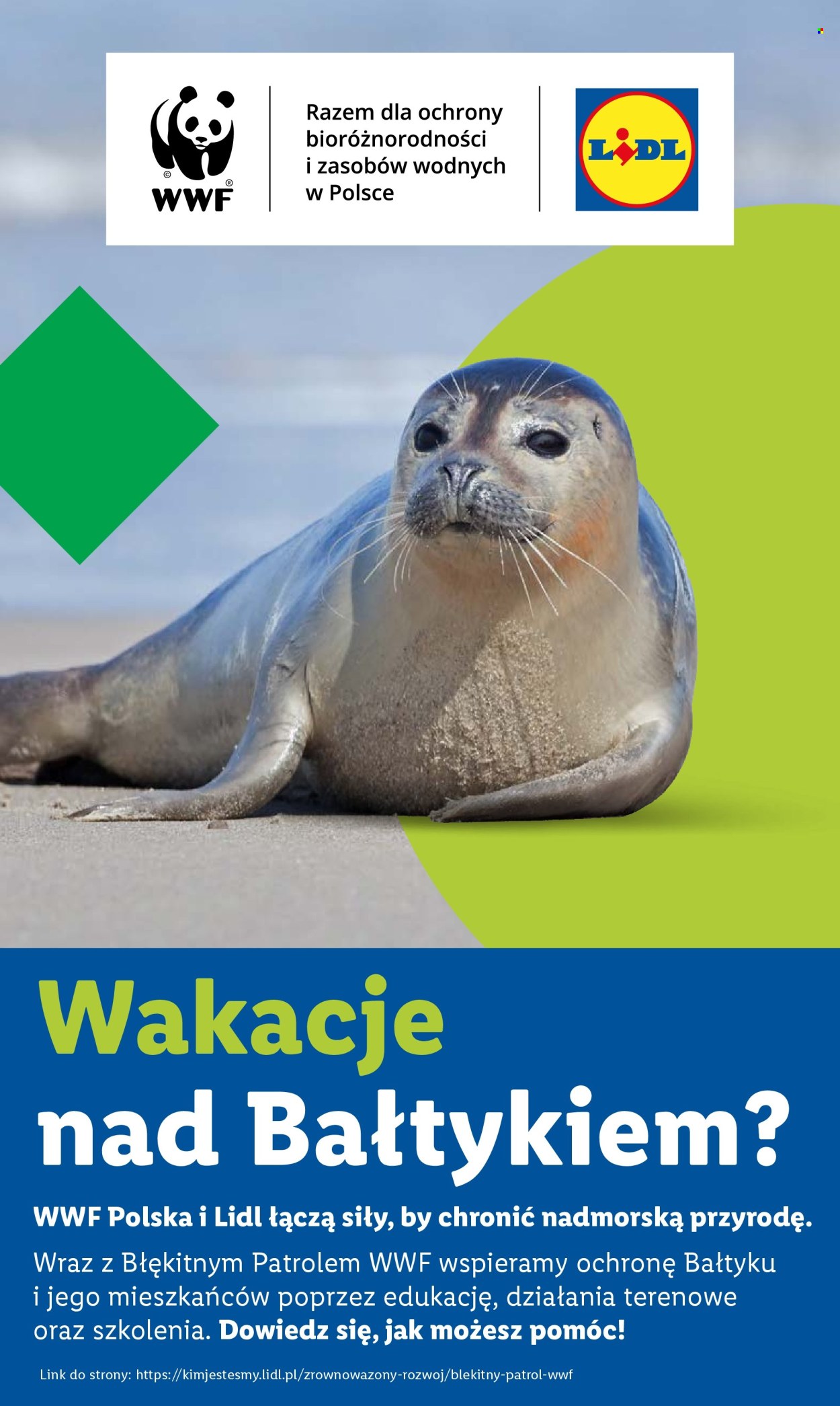 Gazetka Lidl - 14.07.2025 - 16.07.2025. Strona 60
