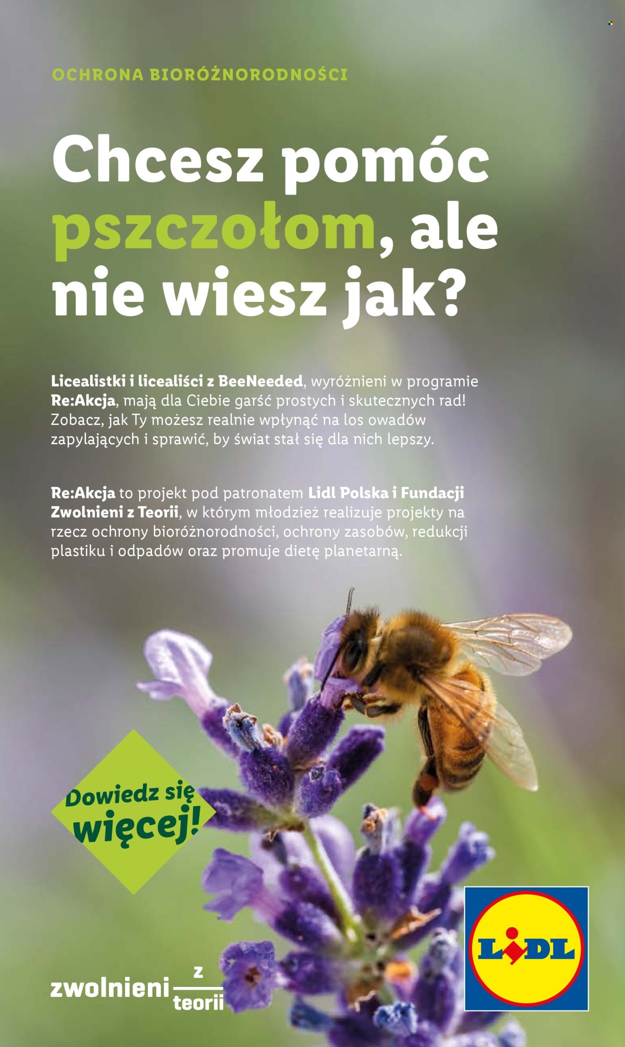 Gazetka Lidl - 14.07.2025 - 16.07.2025. Strona 61