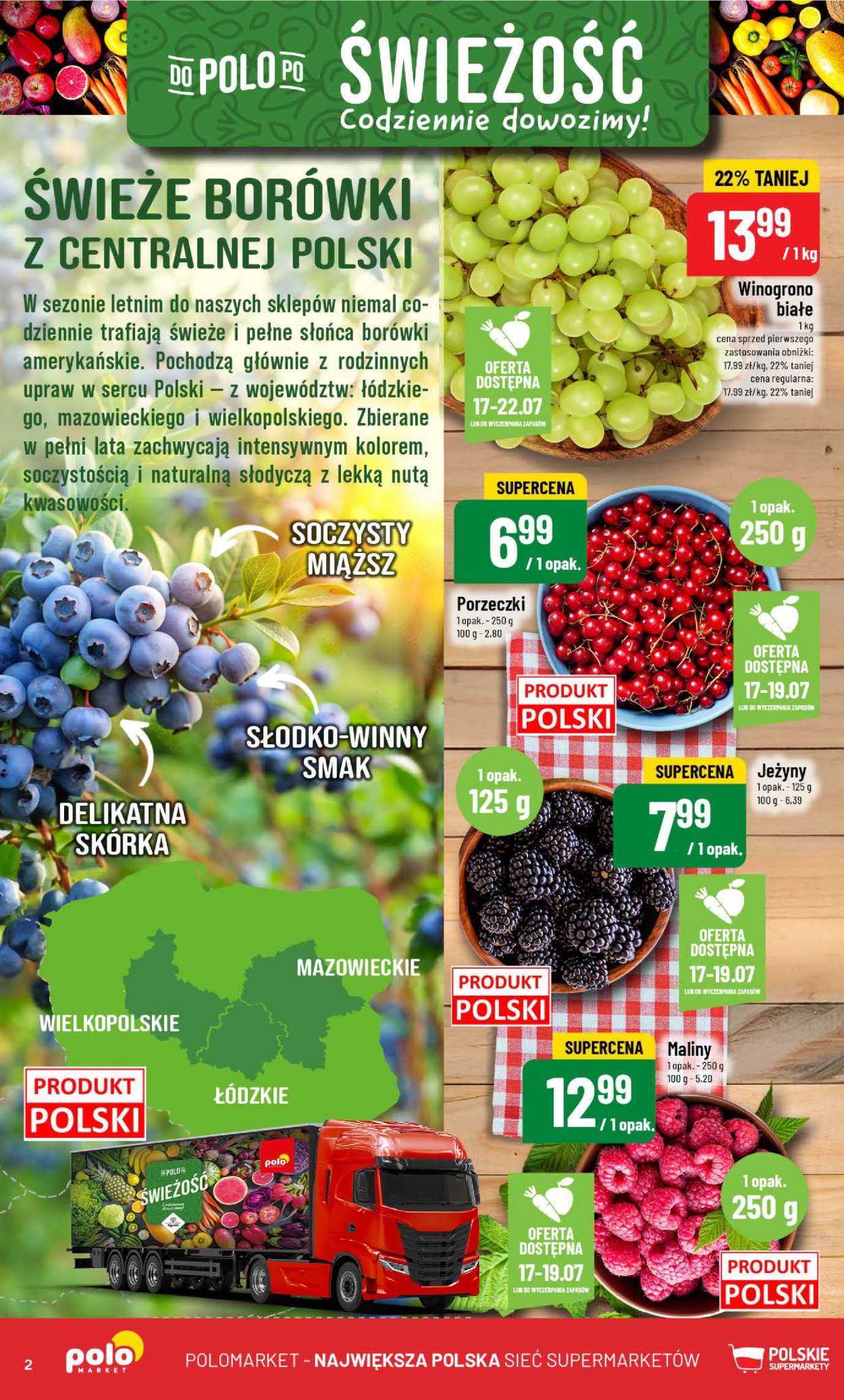 Gazetka Polomarket - 16.07.2025 - 22.07.2025. Strona 2