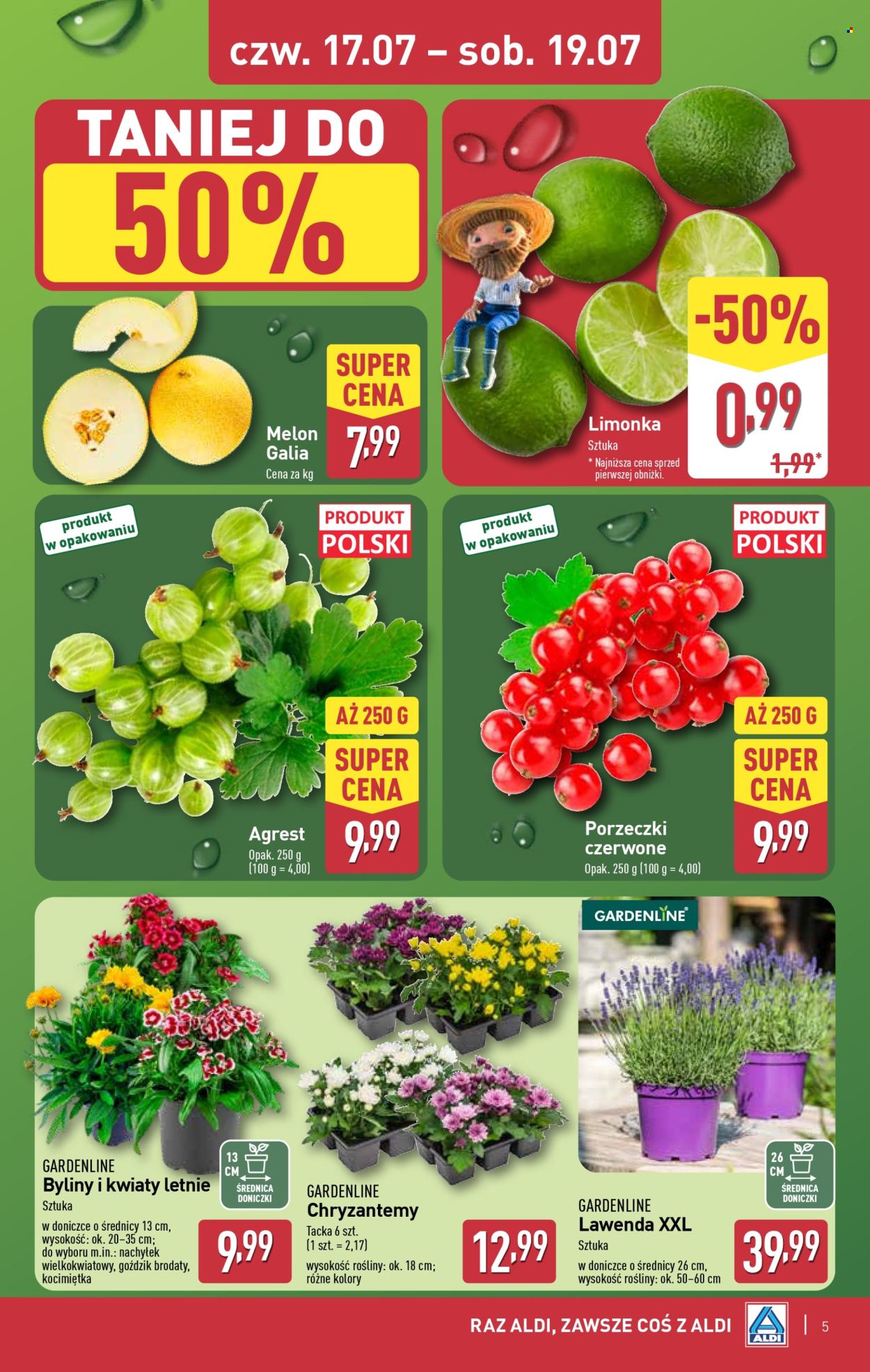 Gazetka ALDI - 17.07.2025 - 19.07.2025. Strona 5