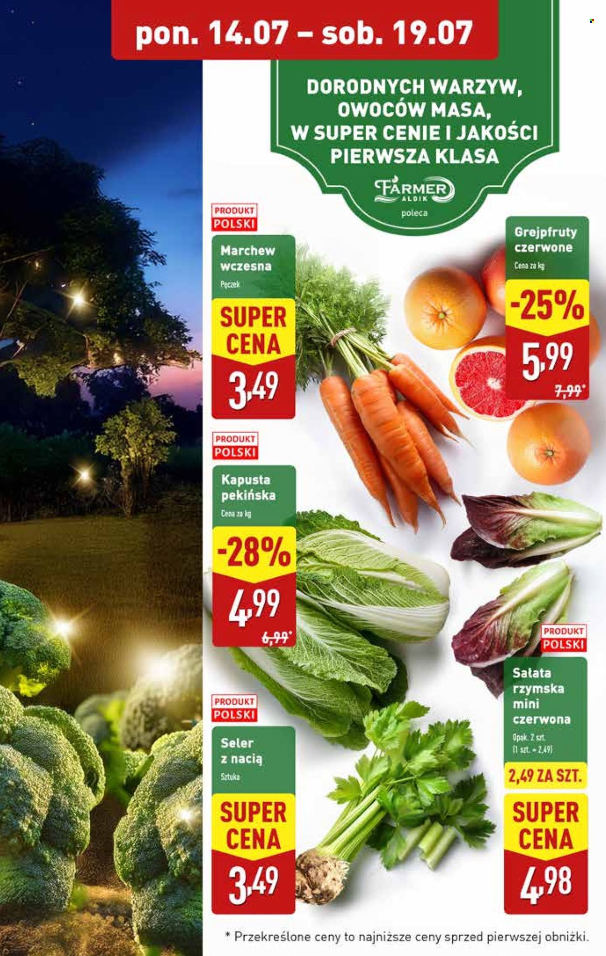 Gazetka ALDI - 17.07.2025 - 19.07.2025. Strona 9