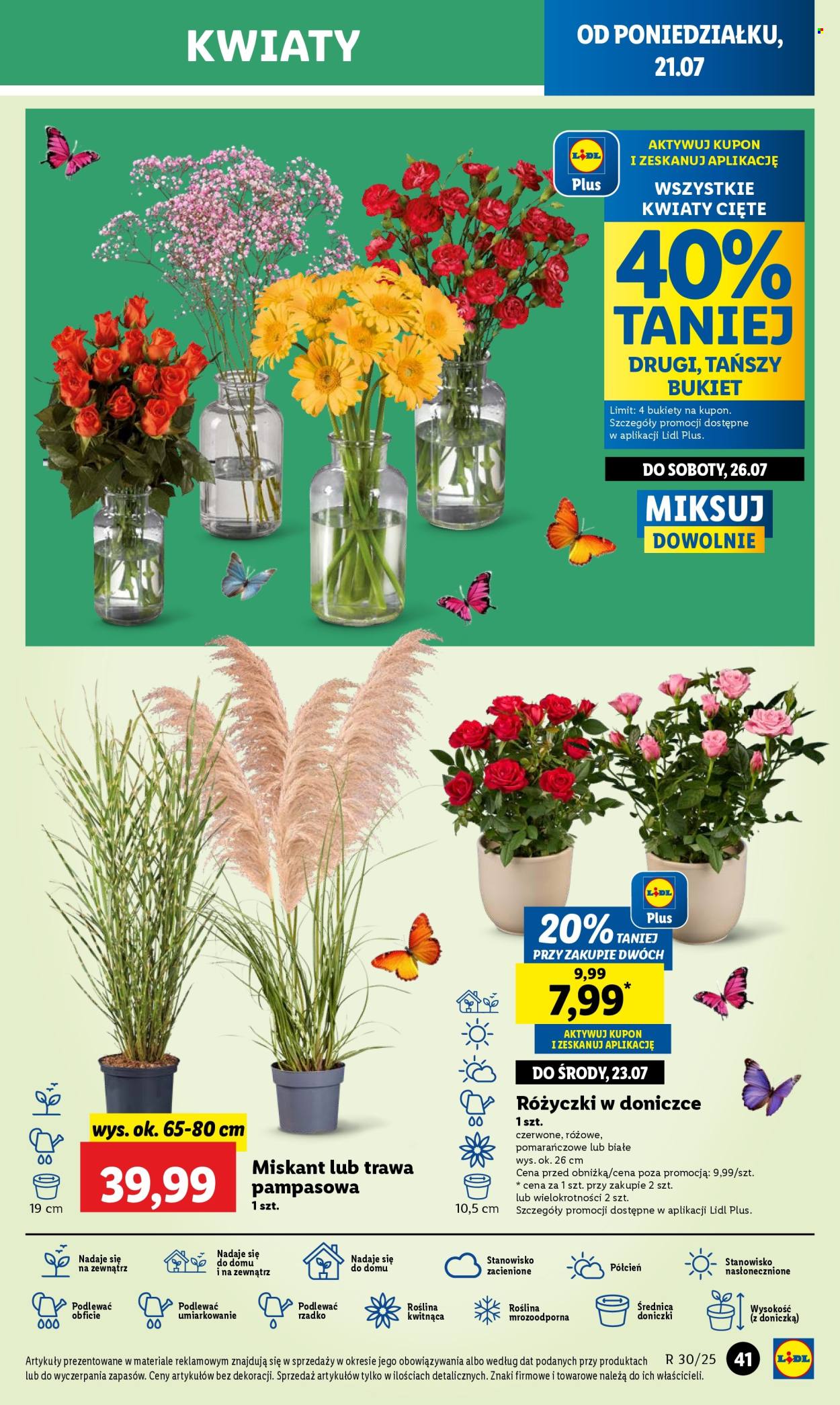 Gazetka Lidl - 21.07.2025 - 23.07.2025. Strona 51