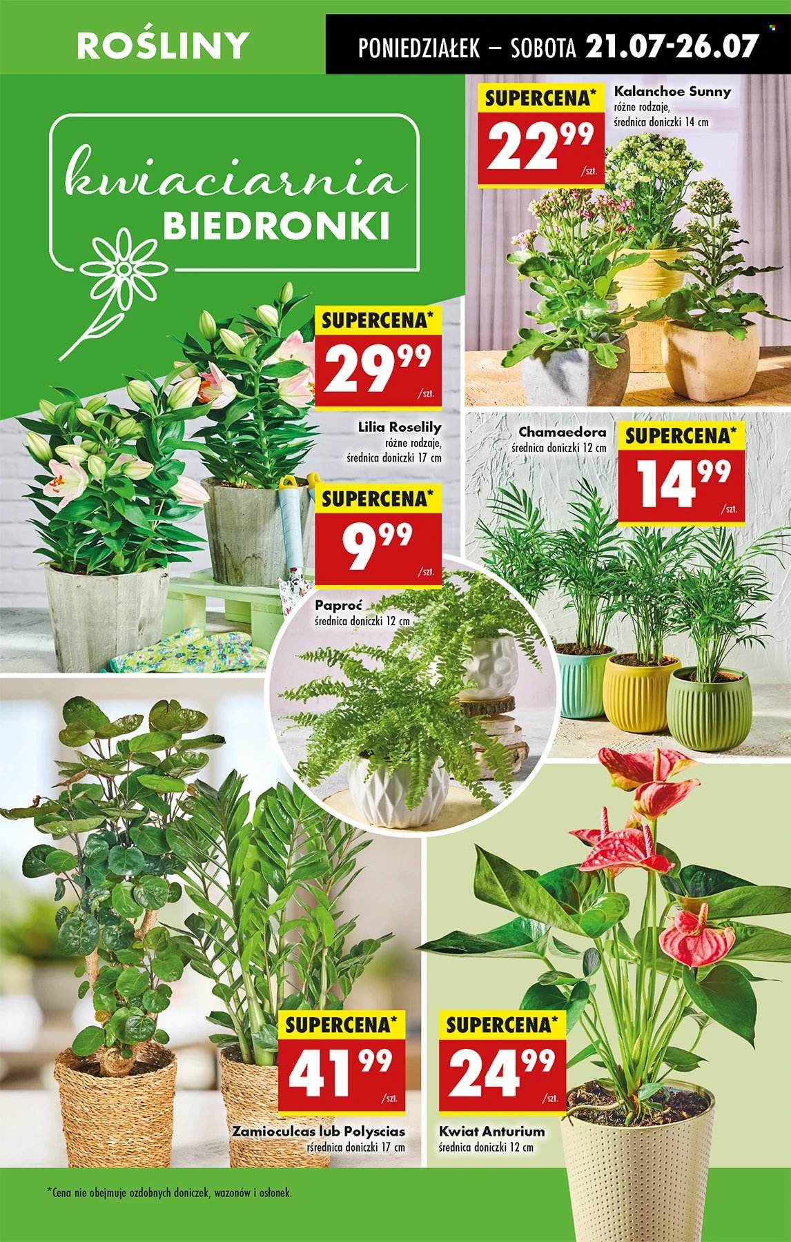 Gazetka Biedronka - 21.07.2025 - 26.07.2025. Strona 55