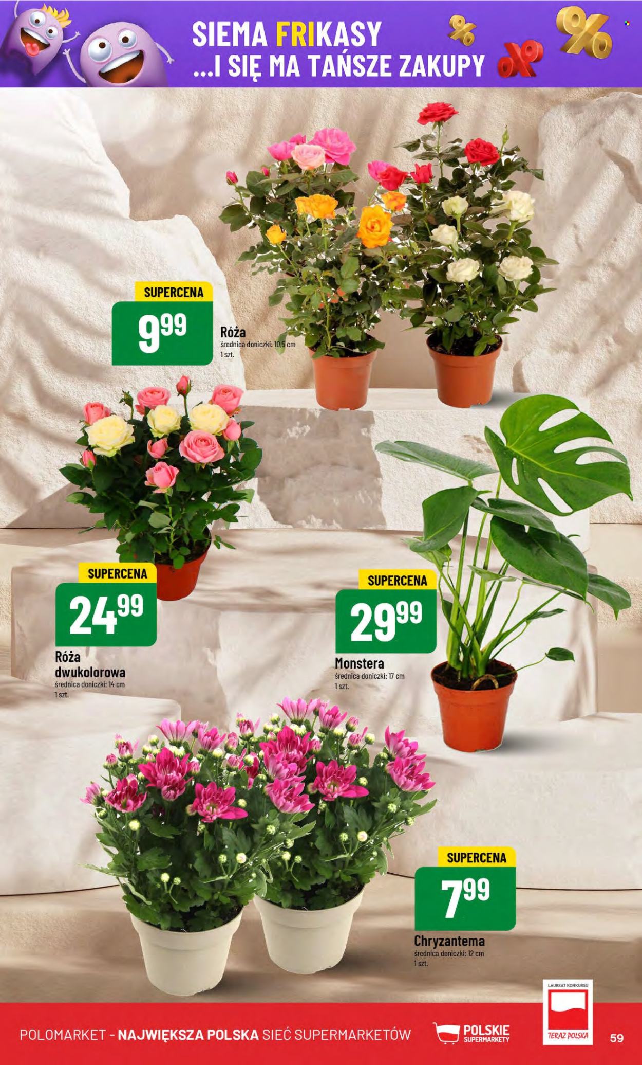 Gazetka Polomarket - 23.07.2025 - 29.07.2025. Strona 59