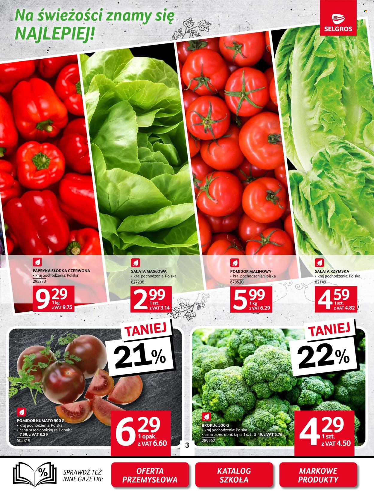 Gazetka Selgros - 31.07.2025 - 13.08.2025. Strona 3