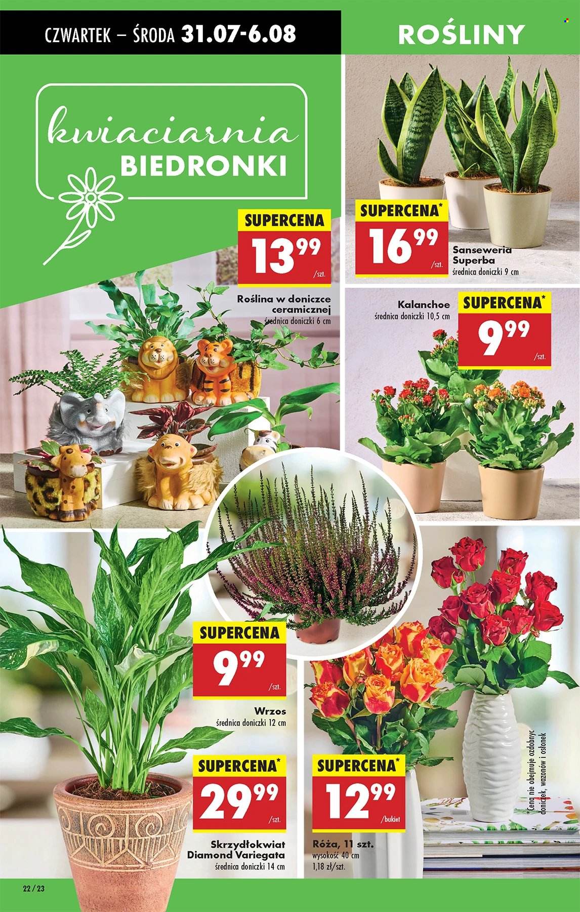 Gazetka Biedronka - 31.07.2025 - 6.08.2025. Strona 22