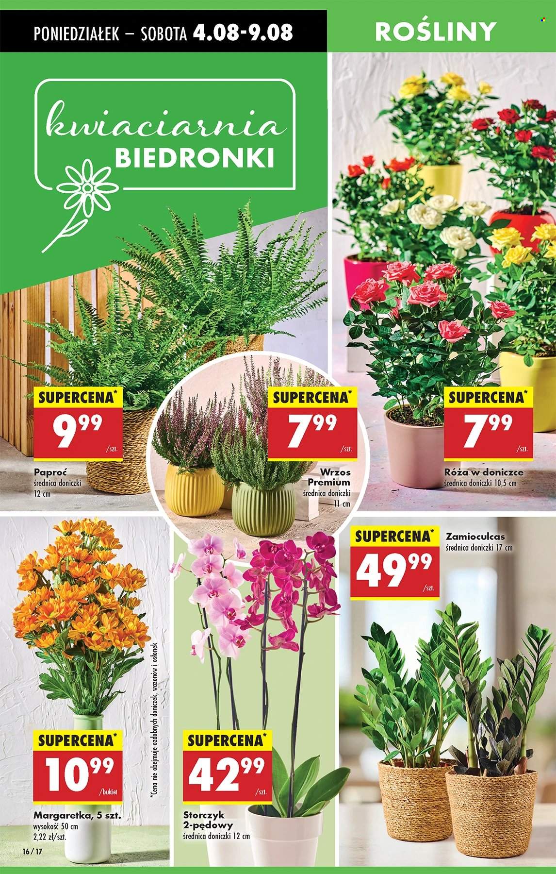 Gazetka Biedronka - 4.08.2025 - 9.08.2025. Strona 16