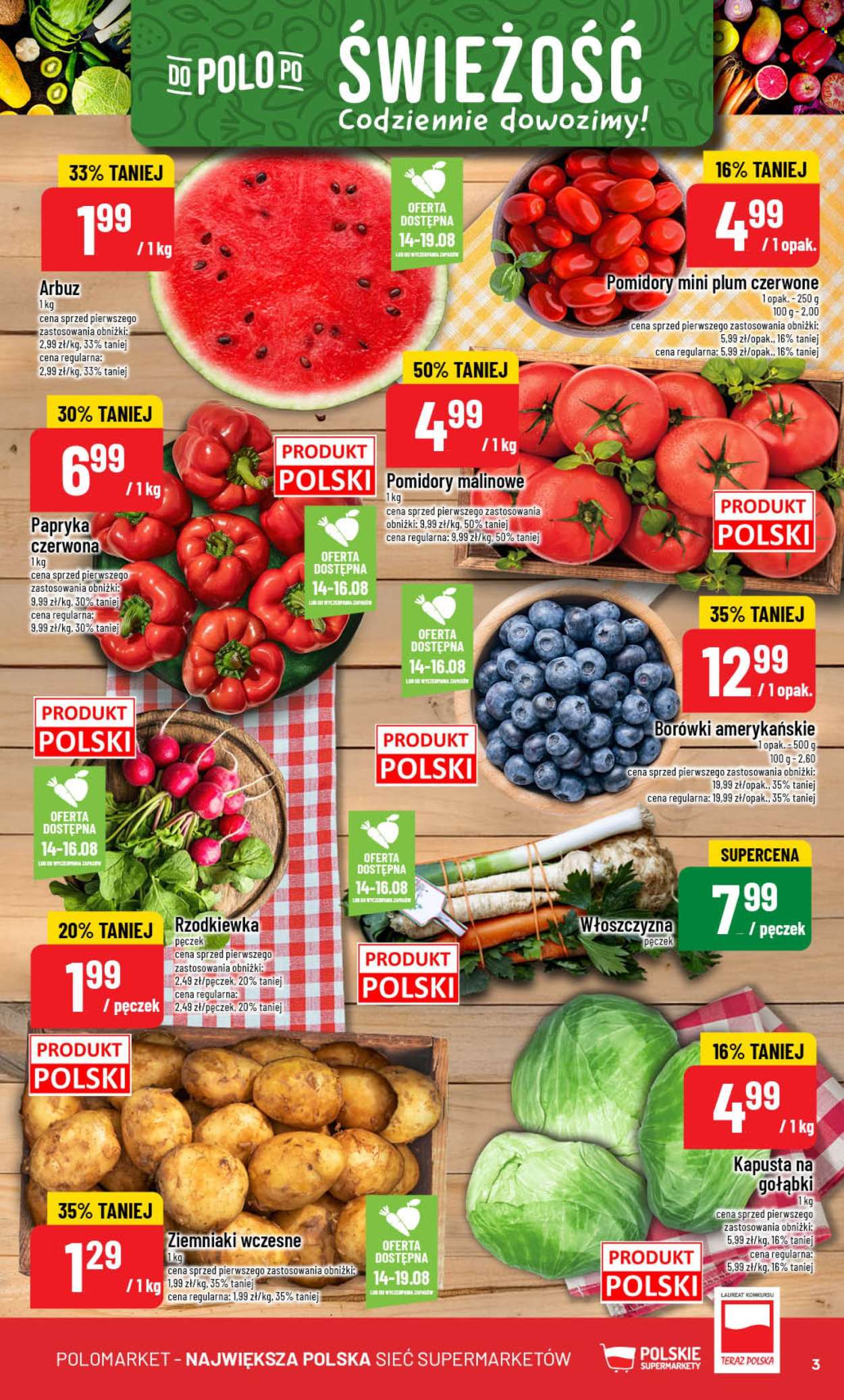 Gazetka Polomarket - 13.08.2025 - 19.08.2025. Strona 3