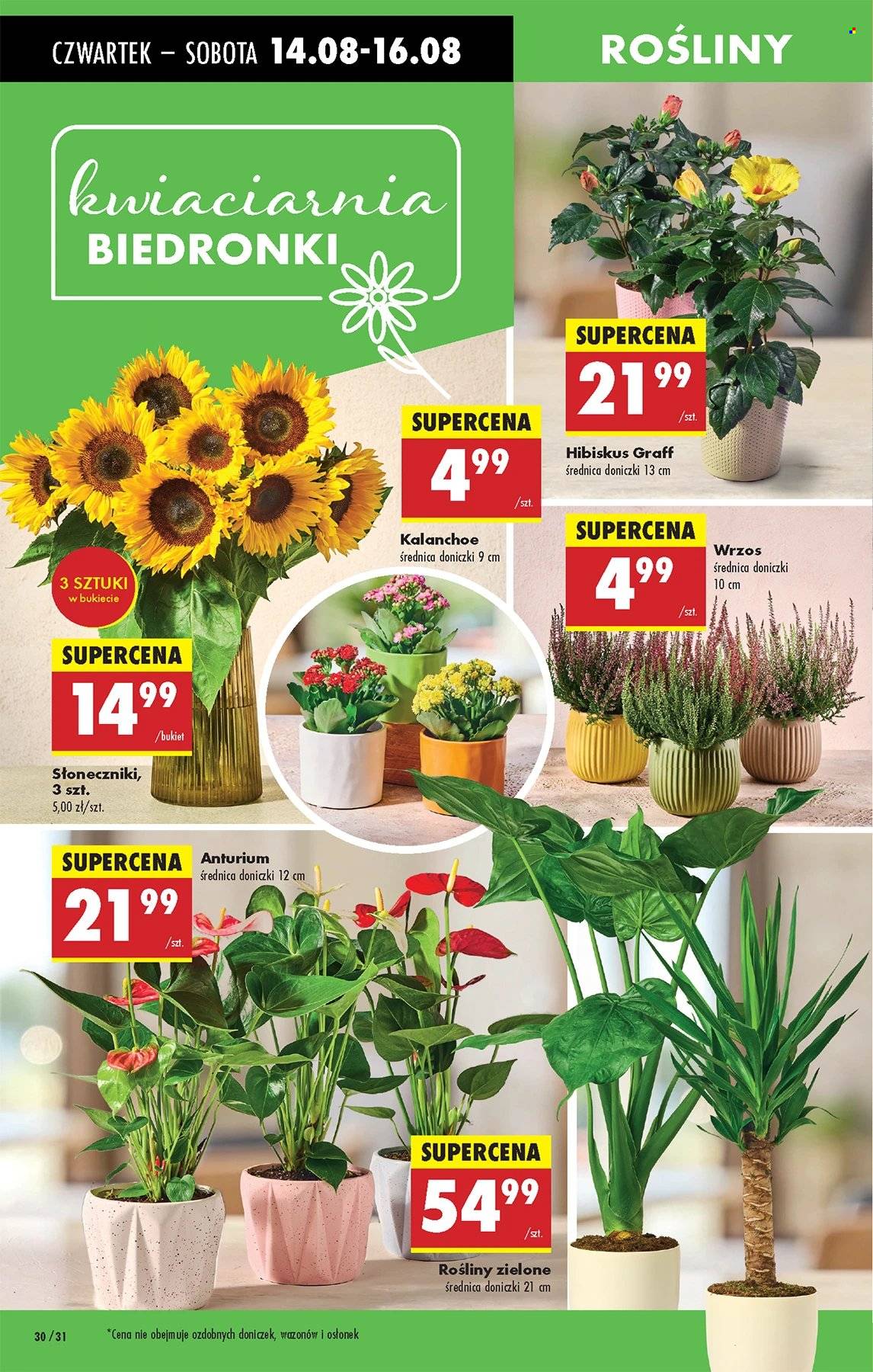 Gazetka Biedronka - 14.08.2025 - 20.08.2025. Strona 30