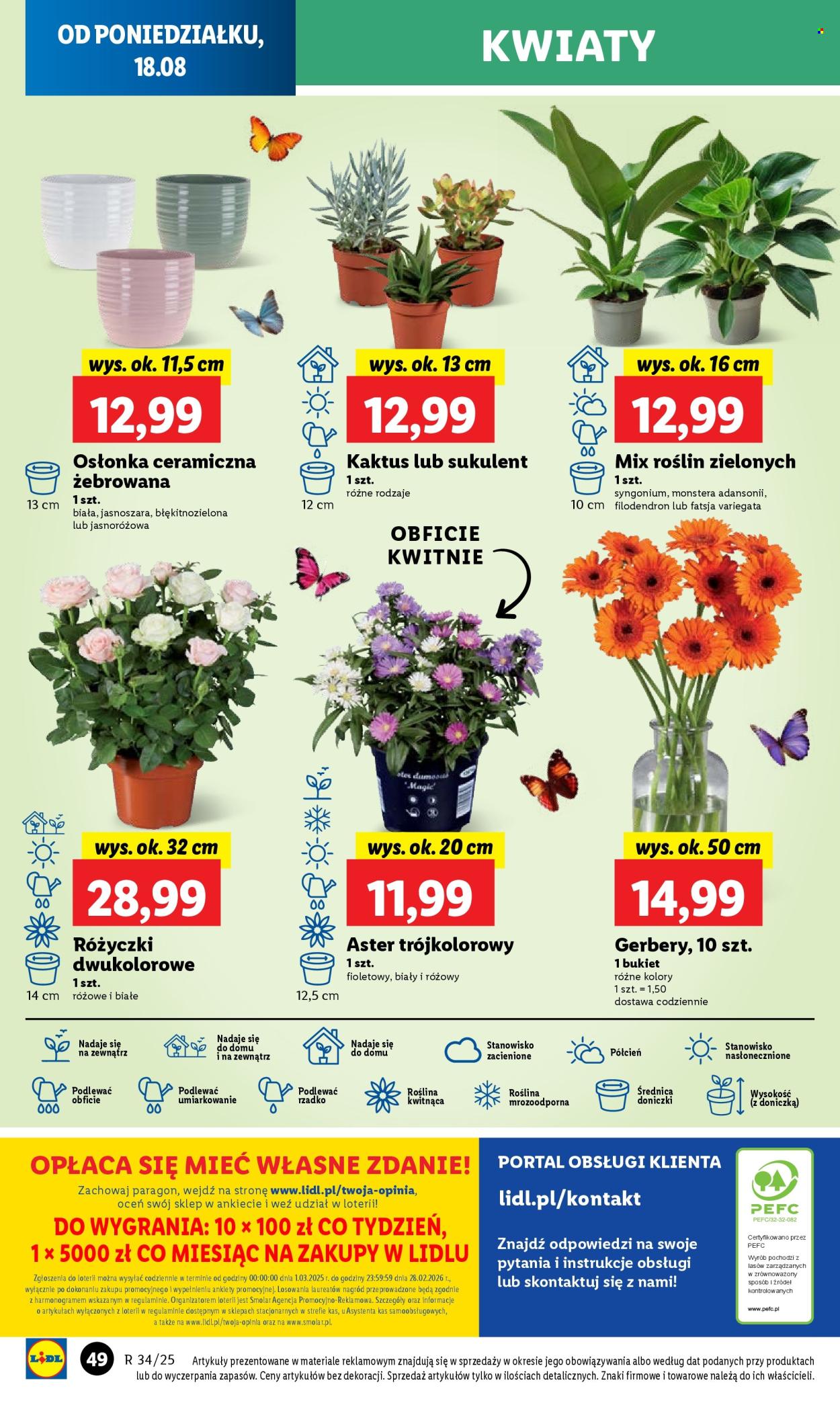 Gazetka Lidl - 18.08.2025 - 20.08.2025. Strona 64