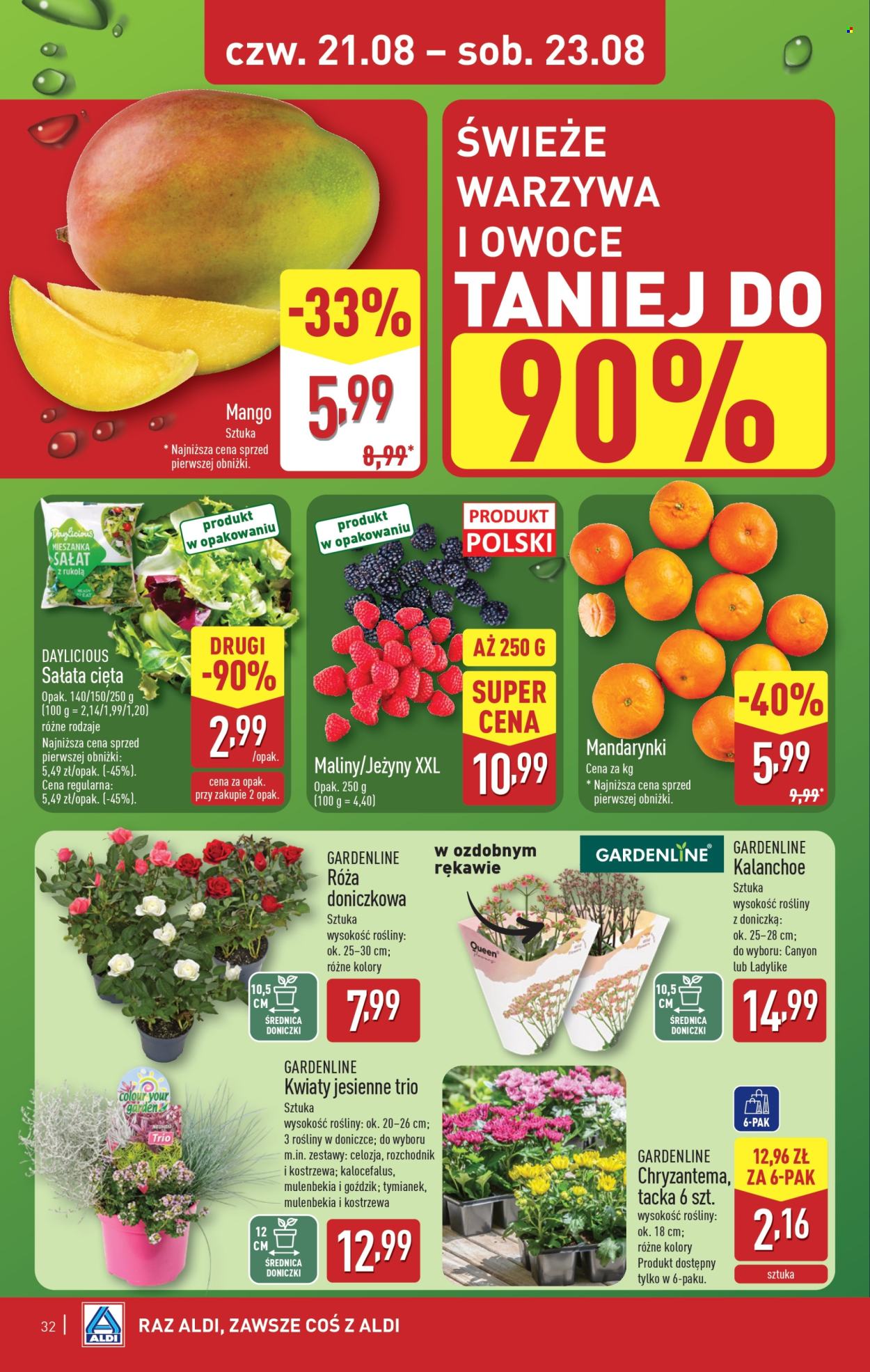 Gazetka ALDI - 18.08.2025 - 23.08.2025. Strona 32