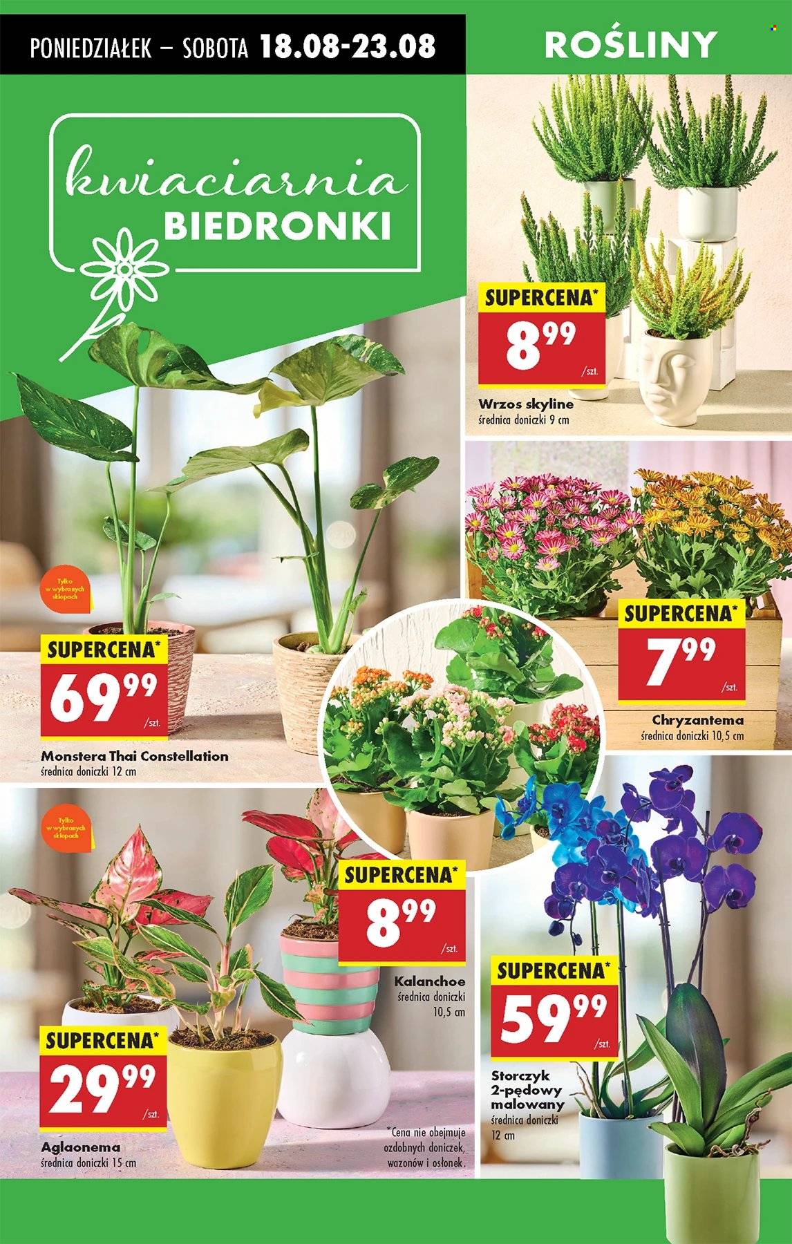 Gazetka Biedronka - 18.08.2025 - 23.08.2025. Strona 61