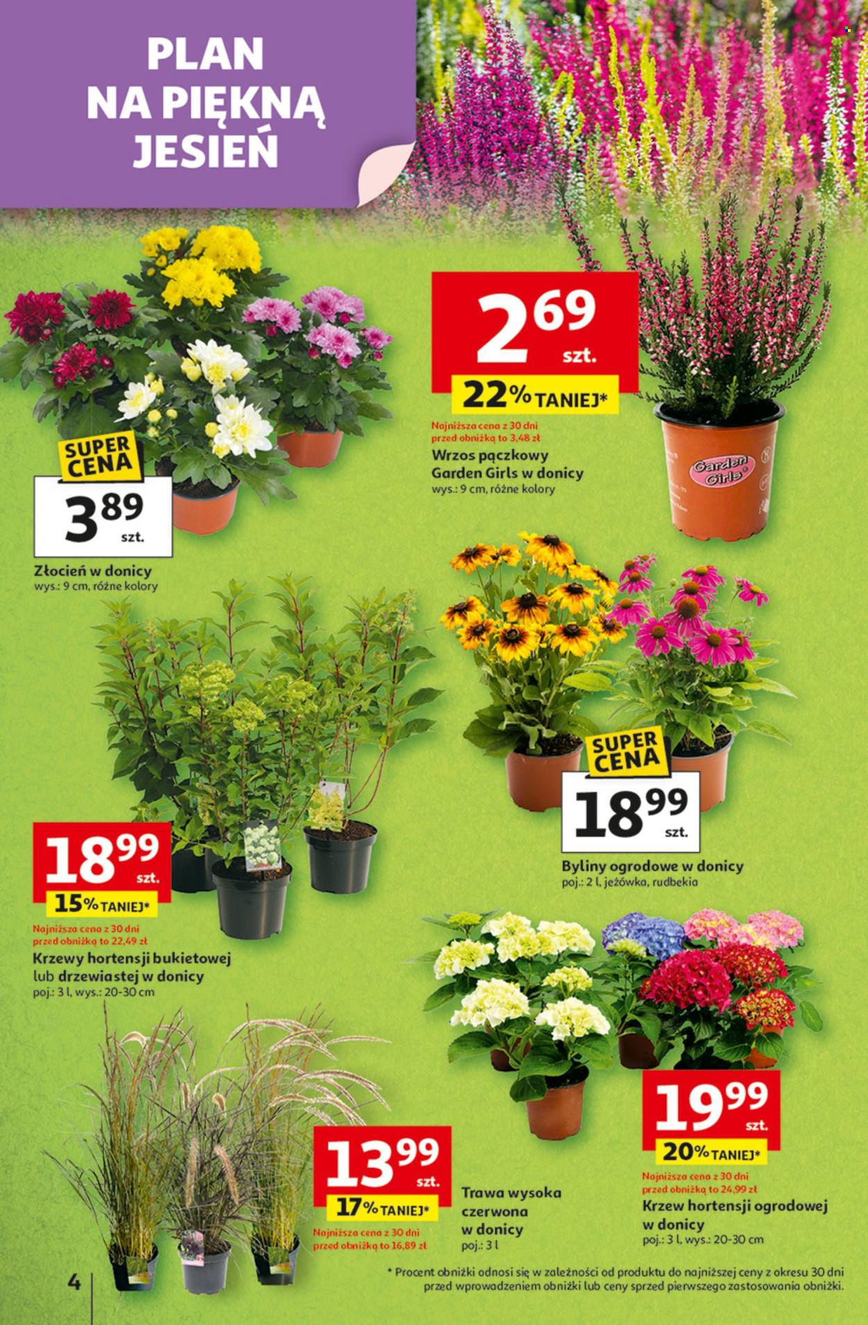 Gazetka Auchan - 21.08.2025 - 27.08.2025. Strona 4
