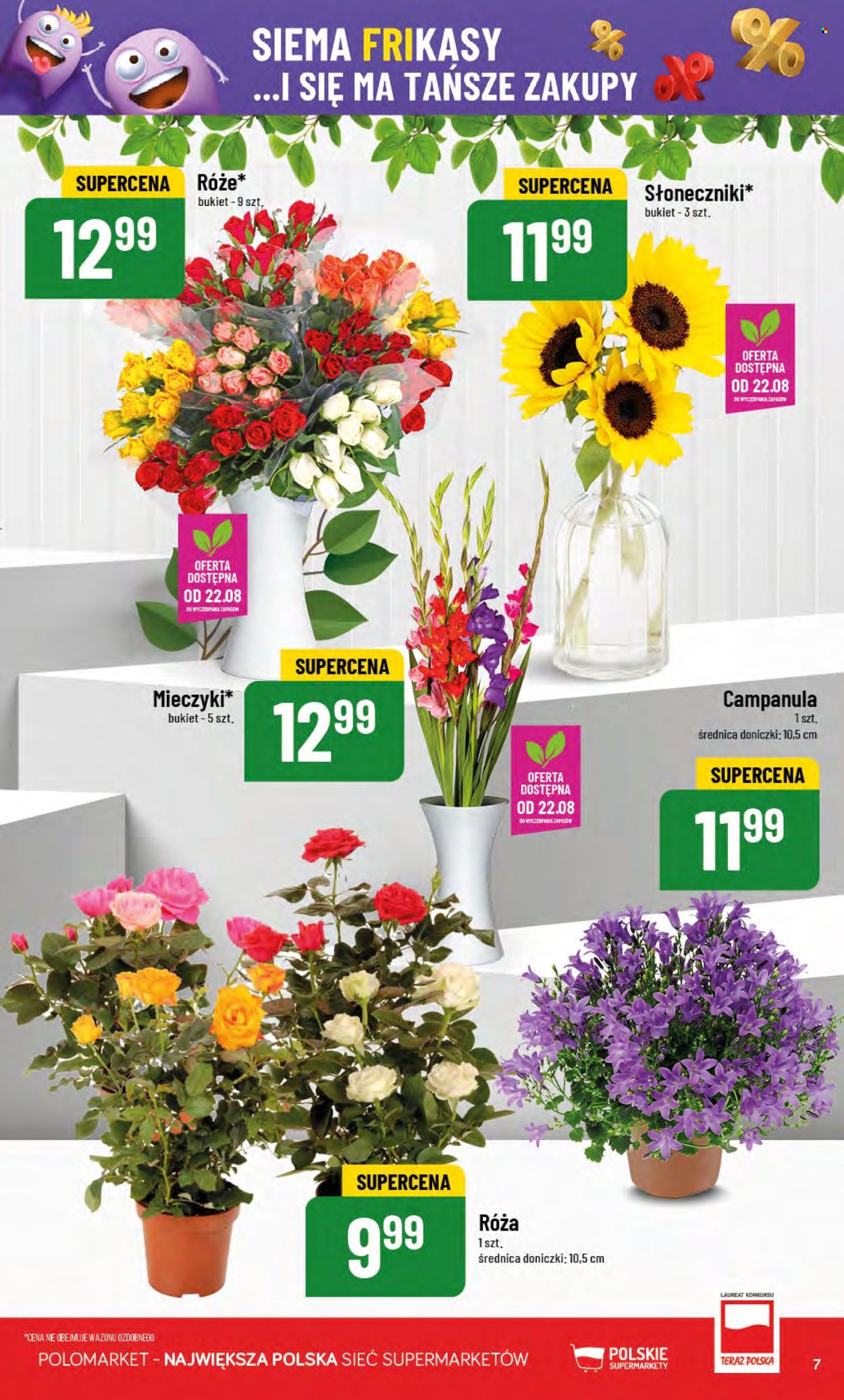 Gazetka Polomarket - 20.08.2025 - 26.08.2025. Strona 7