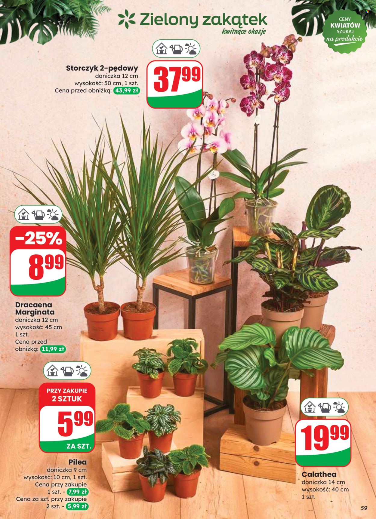 Gazetka Dino - 20.08.2025 - 26.08.2025. Strona 59