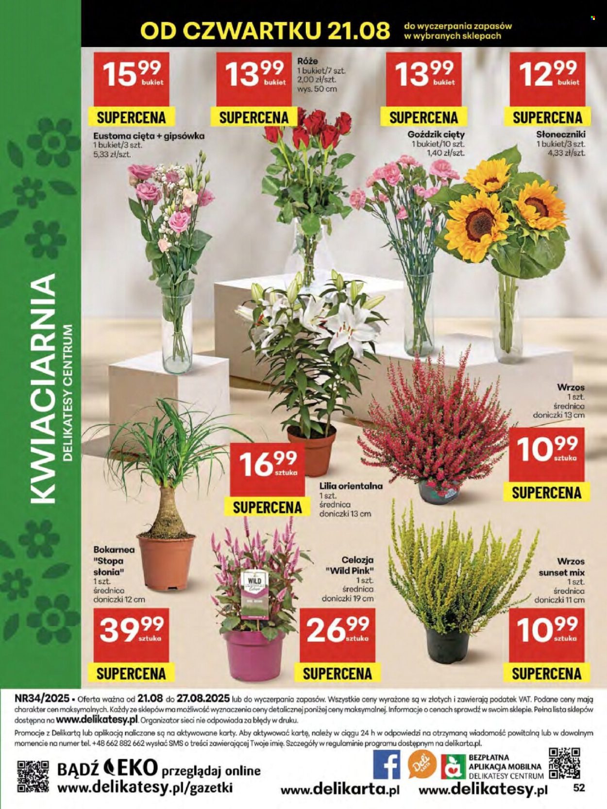 Gazetka Delikatesy Centrum - 21.08.2025 - 27.08.2025. Strona 52
