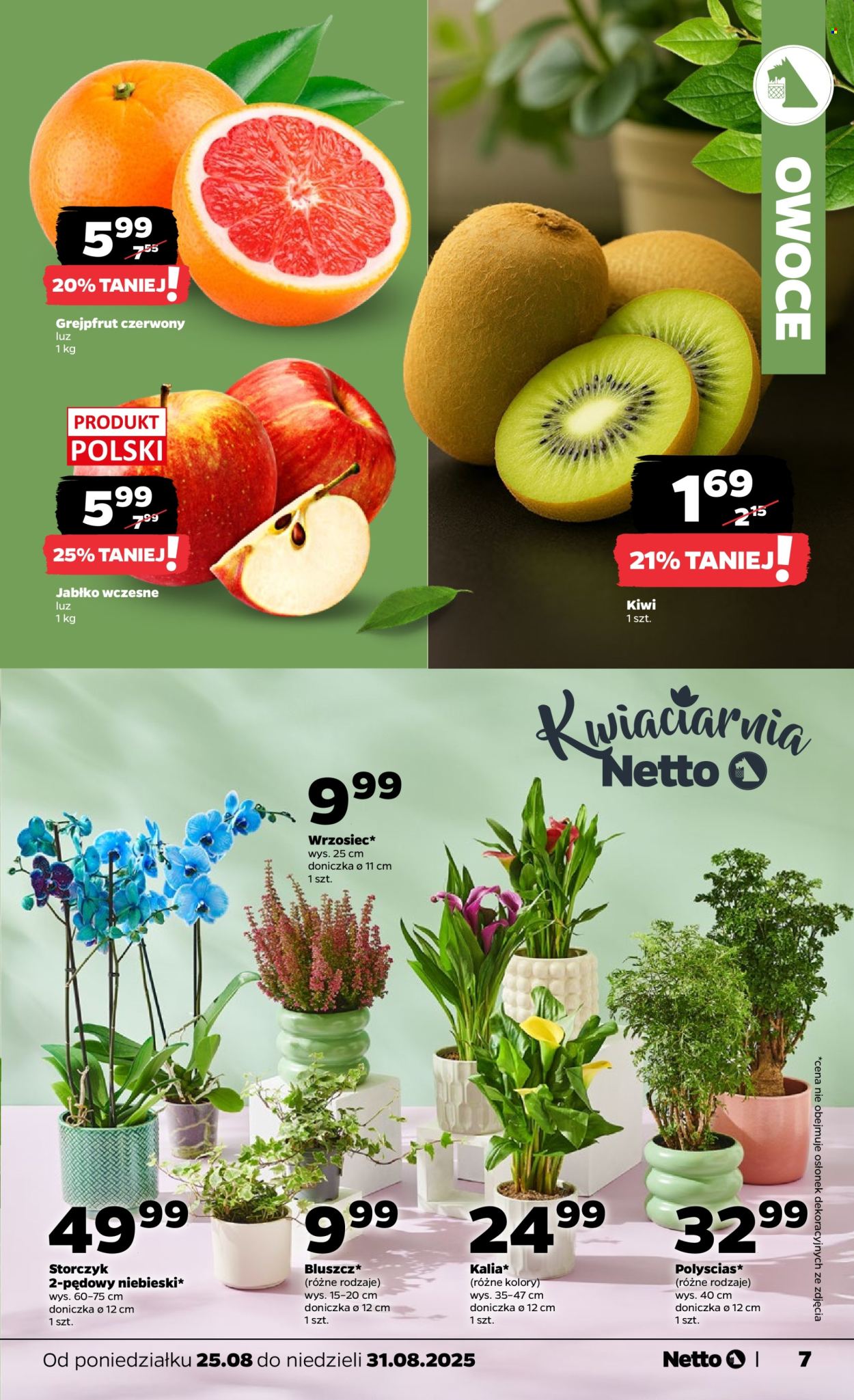 Gazetka Netto - 25.08.2025 - 31.08.2025. Strona 7