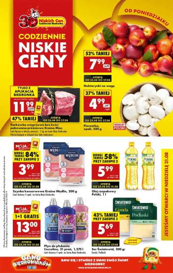 Gazetka Biedronka - 25.08.2025 - 30.08.2025.