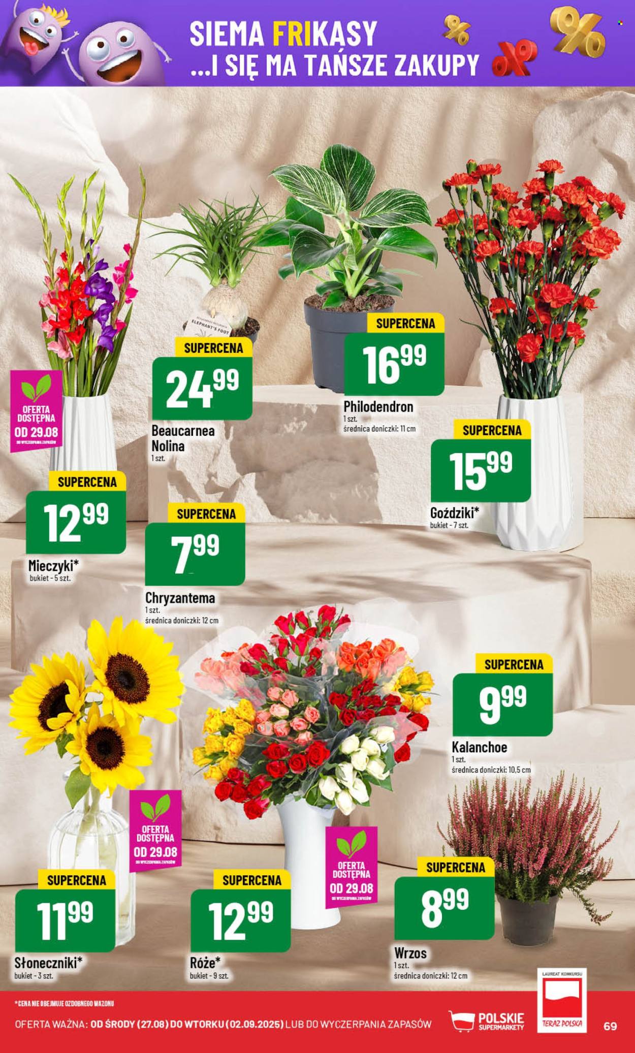 Gazetka Polomarket - 27.08.2025 - 2.09.2025. Strona 69