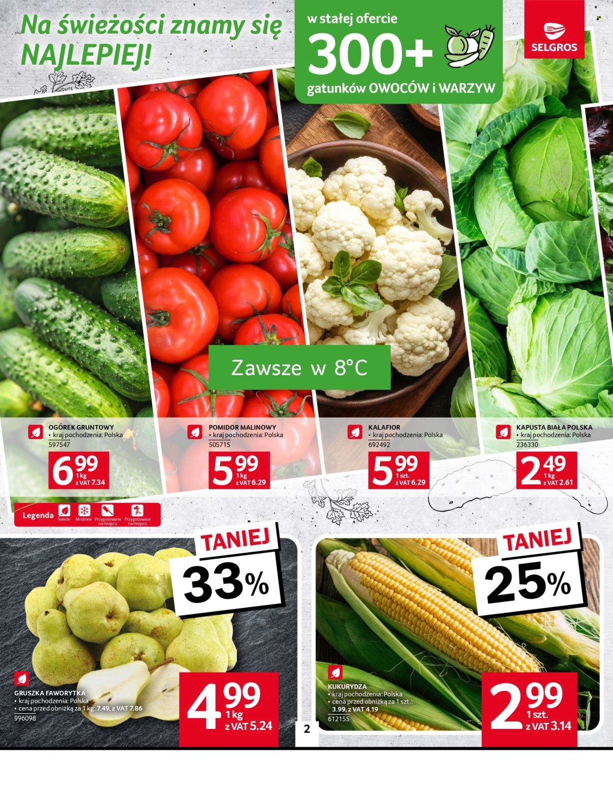 Gazetka Selgros - 28.08.2025 - 10.09.2025. Strona 2
