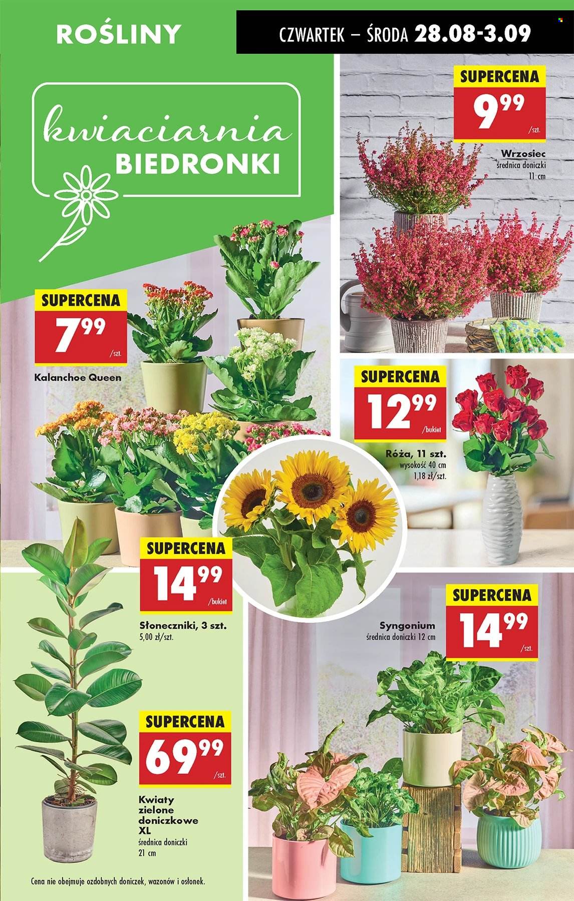 Gazetka Biedronka - 28.08.2025 - 3.09.2025. Strona 23