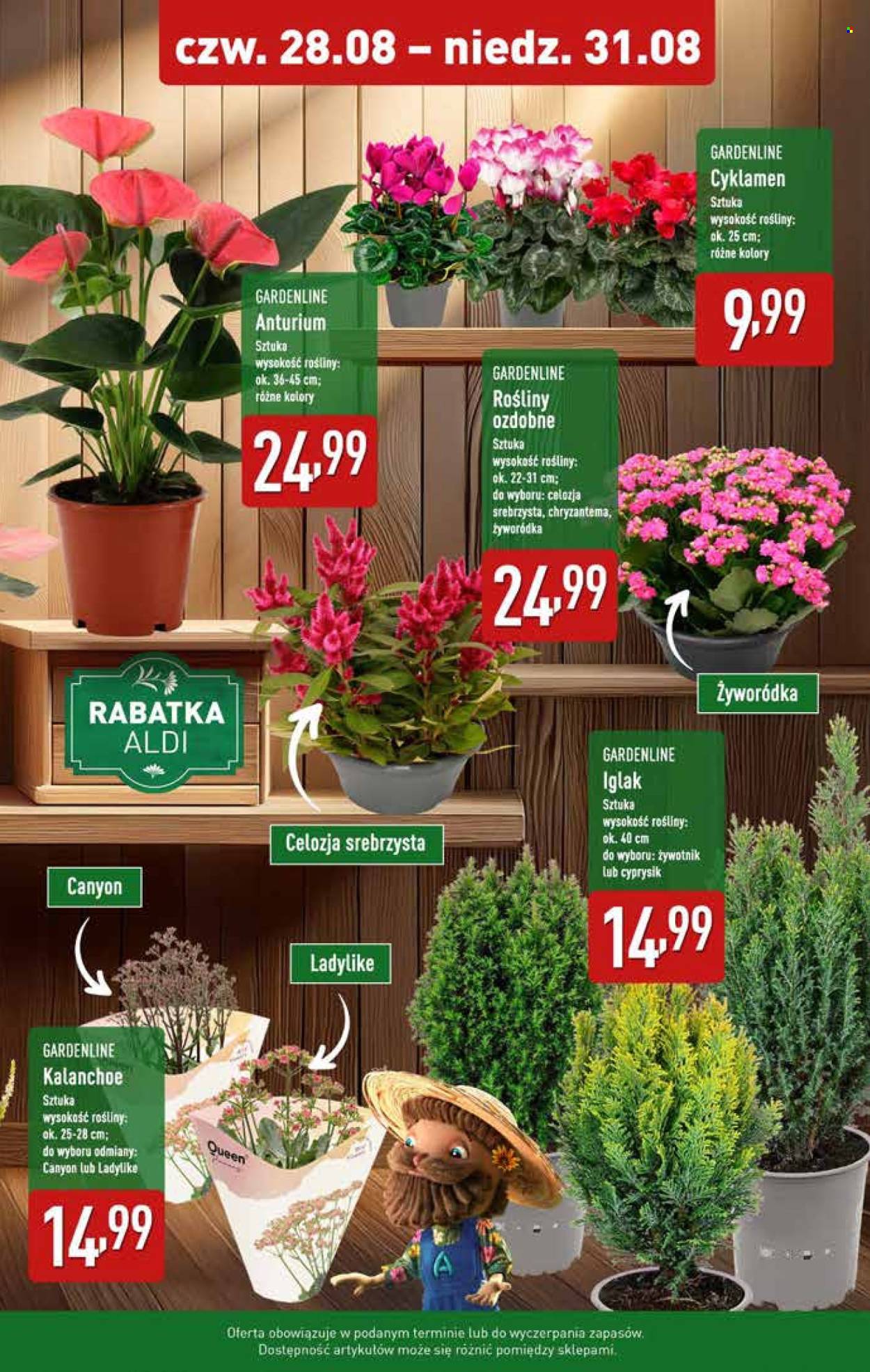 Gazetka ALDI - 28.08.2025 - 31.08.2025. Strona 9