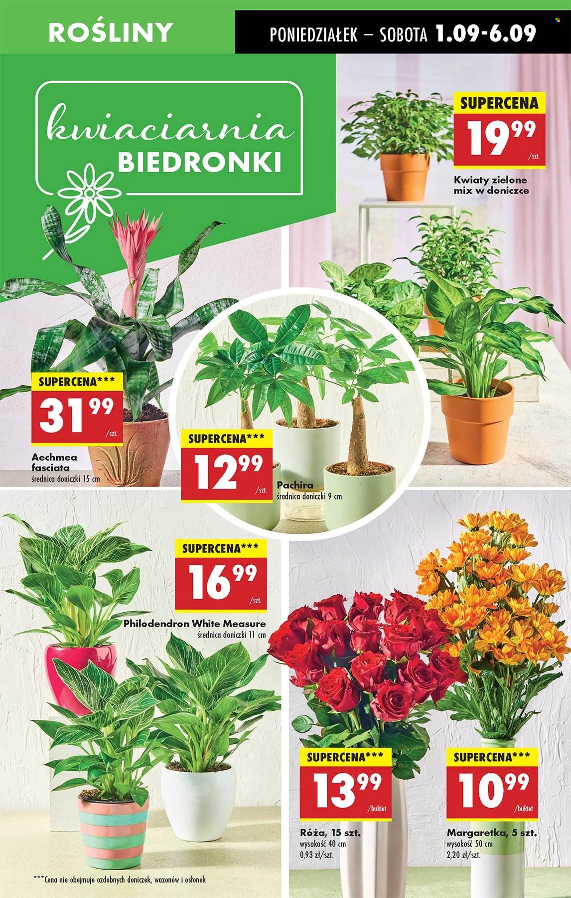 Gazetka Biedronka - 1.09.2025 - 6.09.2025. Strona 17