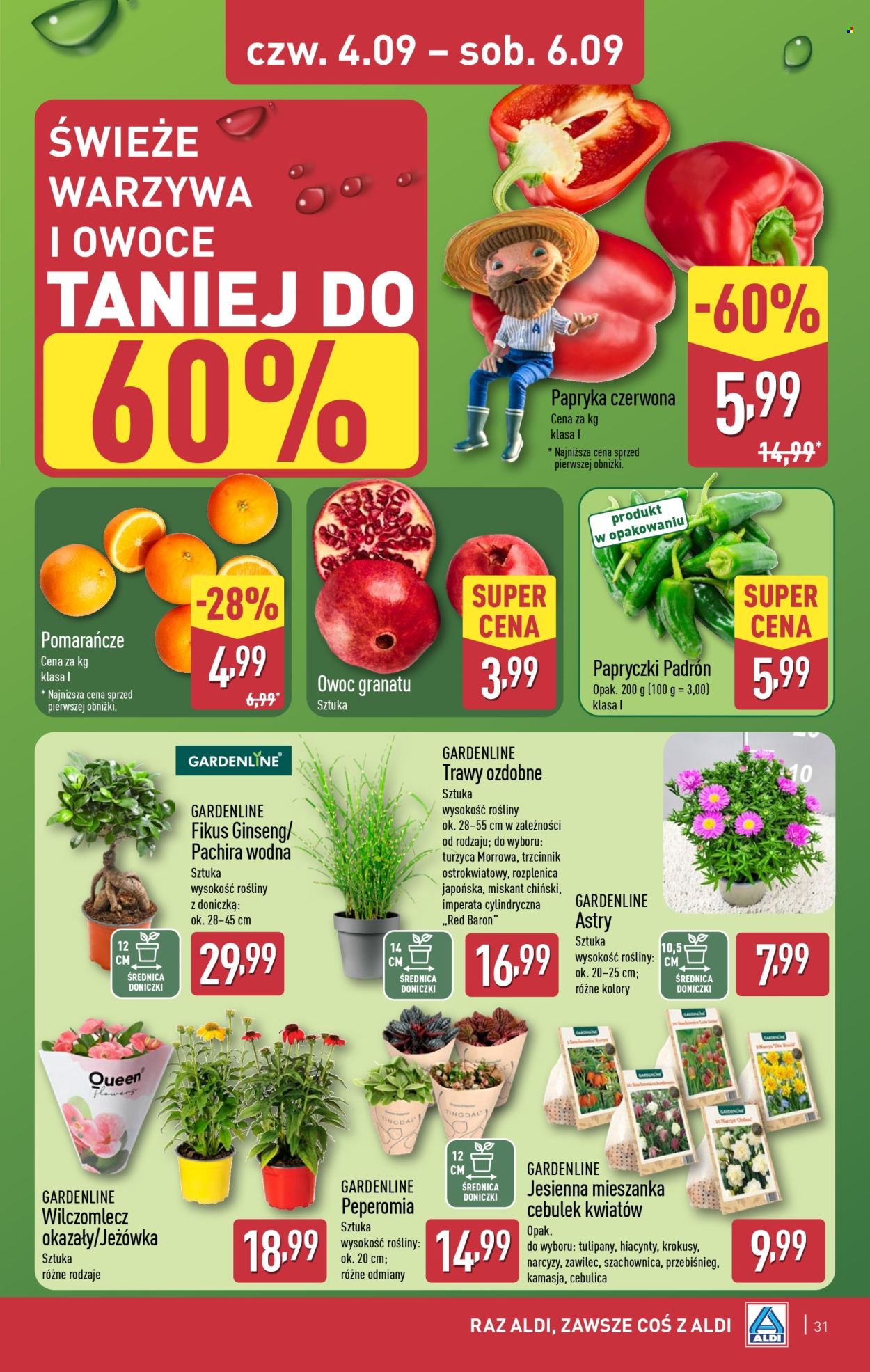 Gazetka ALDI - 1.09.2025 - 6.09.2025. Strona 31