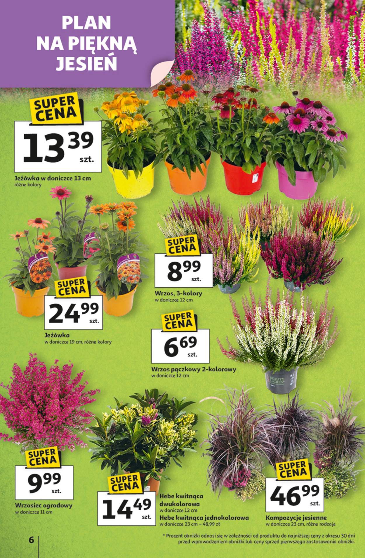 Gazetka Auchan - 4.09.2025 - 10.09.2025. Strona 6