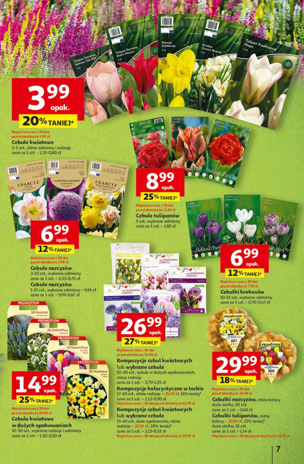 Gazetka Auchan - 4.09.2025 - 10.09.2025. Strona 7