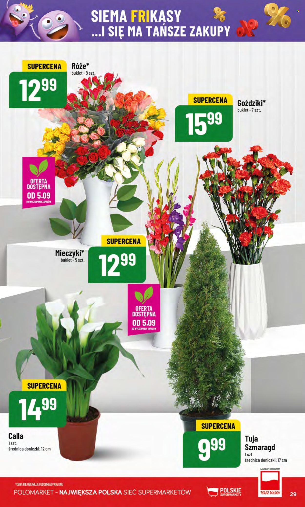Gazetka Polomarket - 3.09.2025 - 9.09.2025. Strona 29