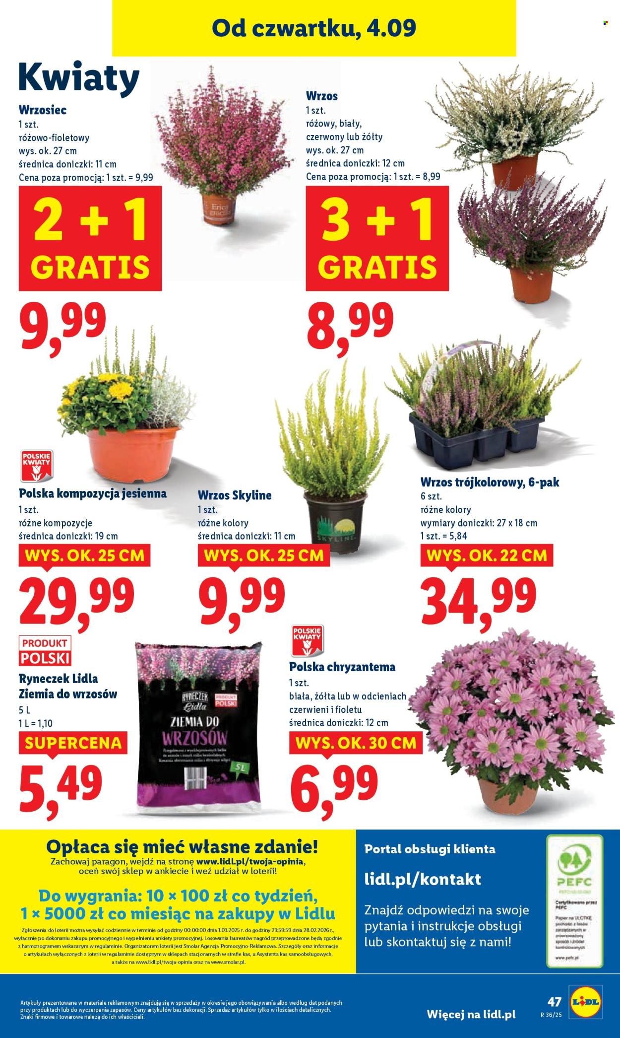 Gazetka Lidl - 4.09.2025 - 6.09.2025. Strona 56