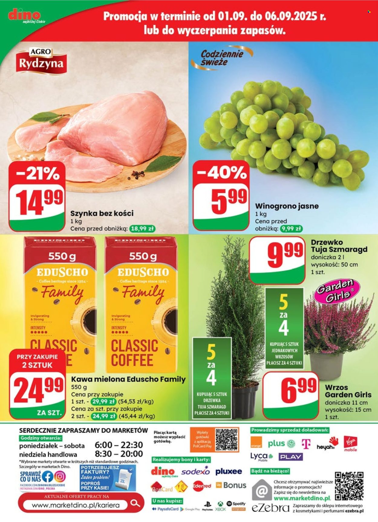 Gazetka Dino - 3.09.2025 - 9.09.2025. Strona 70