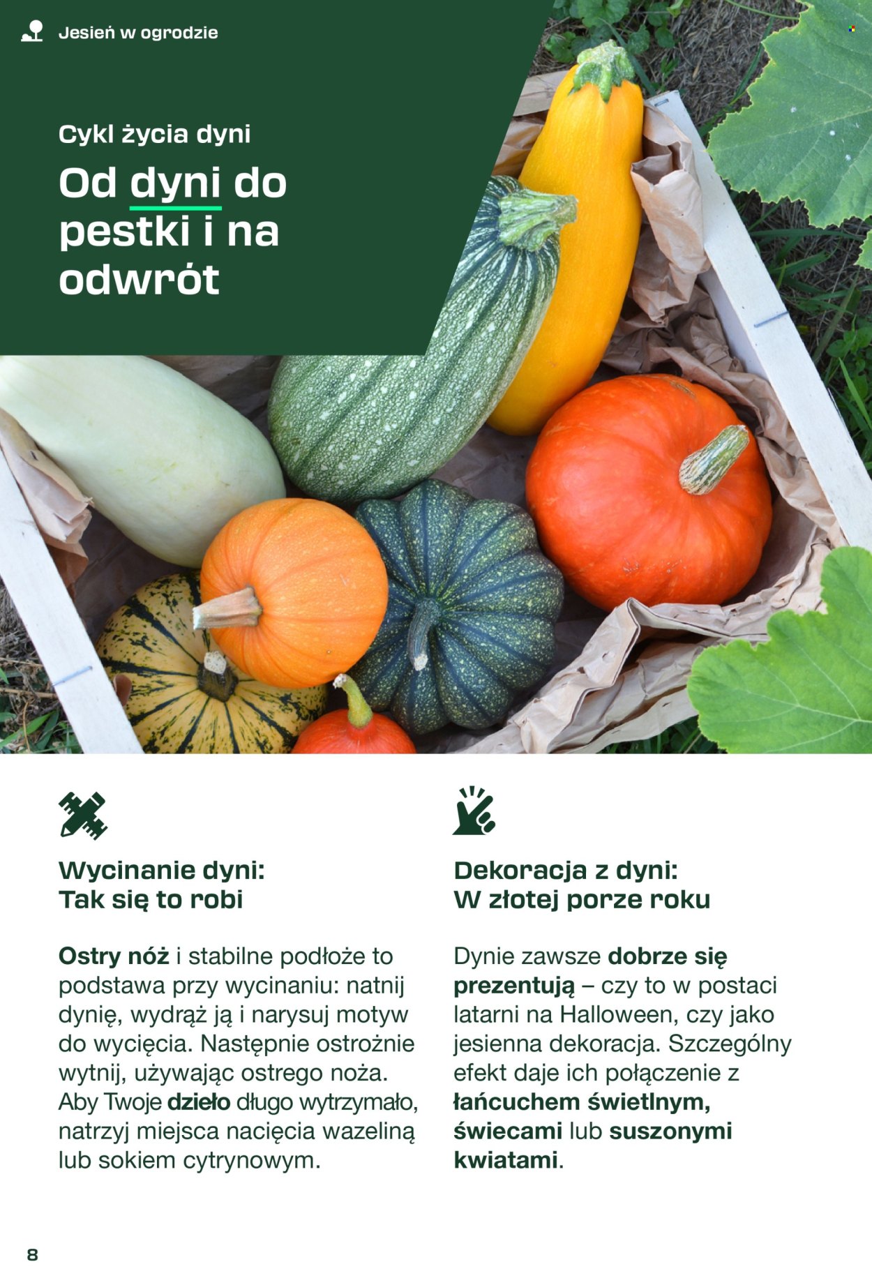 Gazetka Kaufland. Strona 8